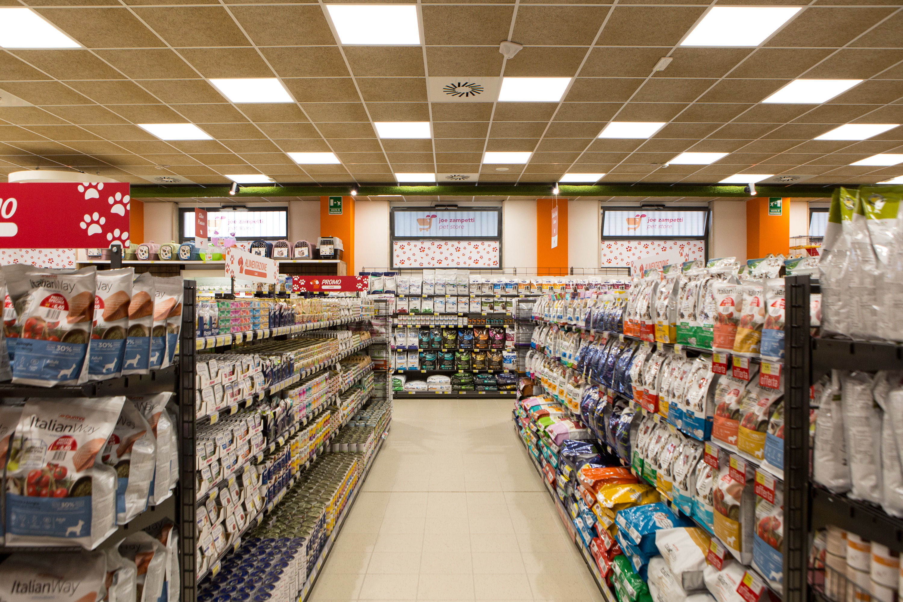 Joe Zampetti 2018 年完美收官之作-6