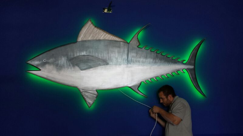 2014 年完成的 LED 照明设计餐厅案例-15