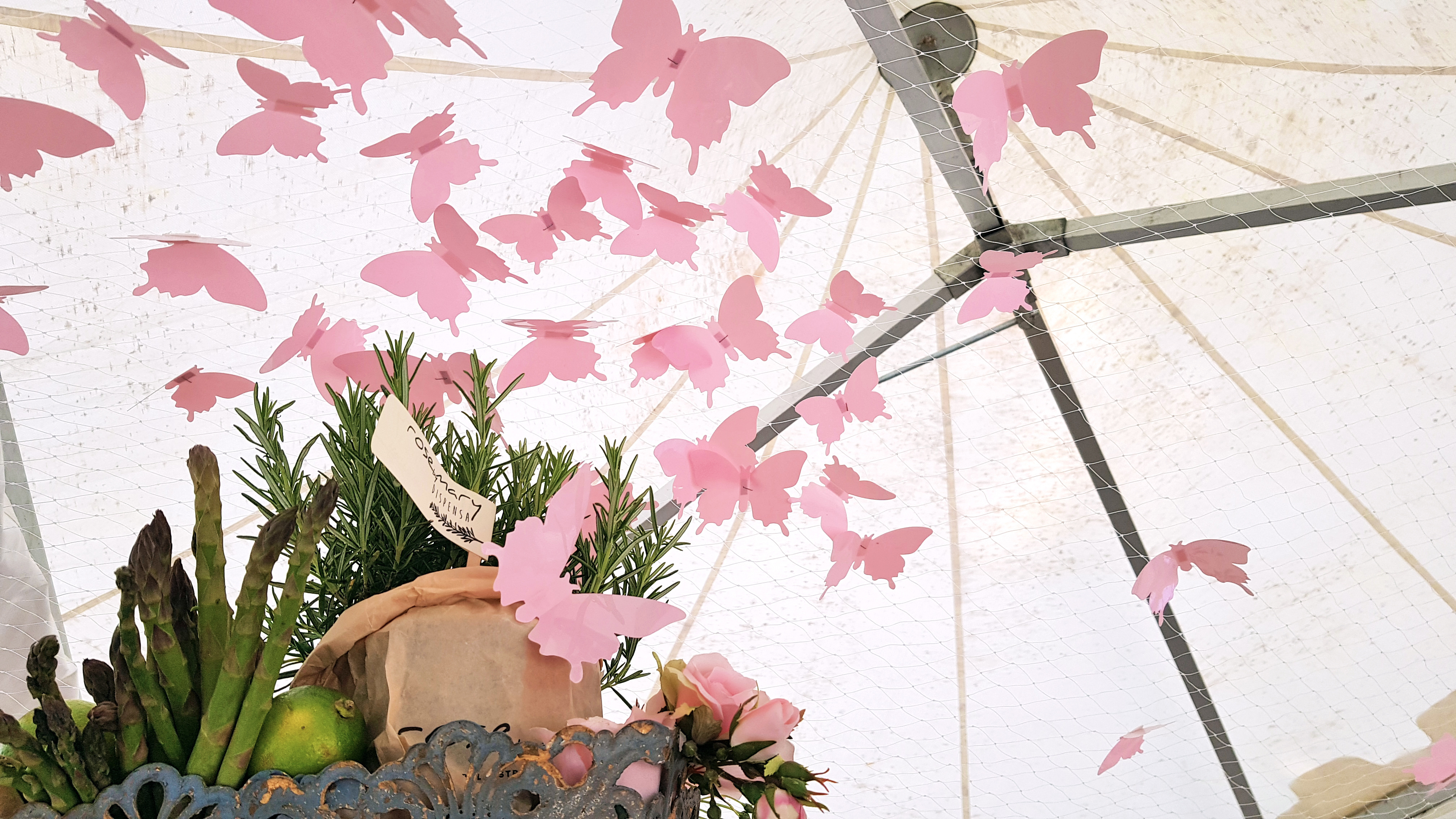 米兰 Orticola 展上的绿色美食空间-6