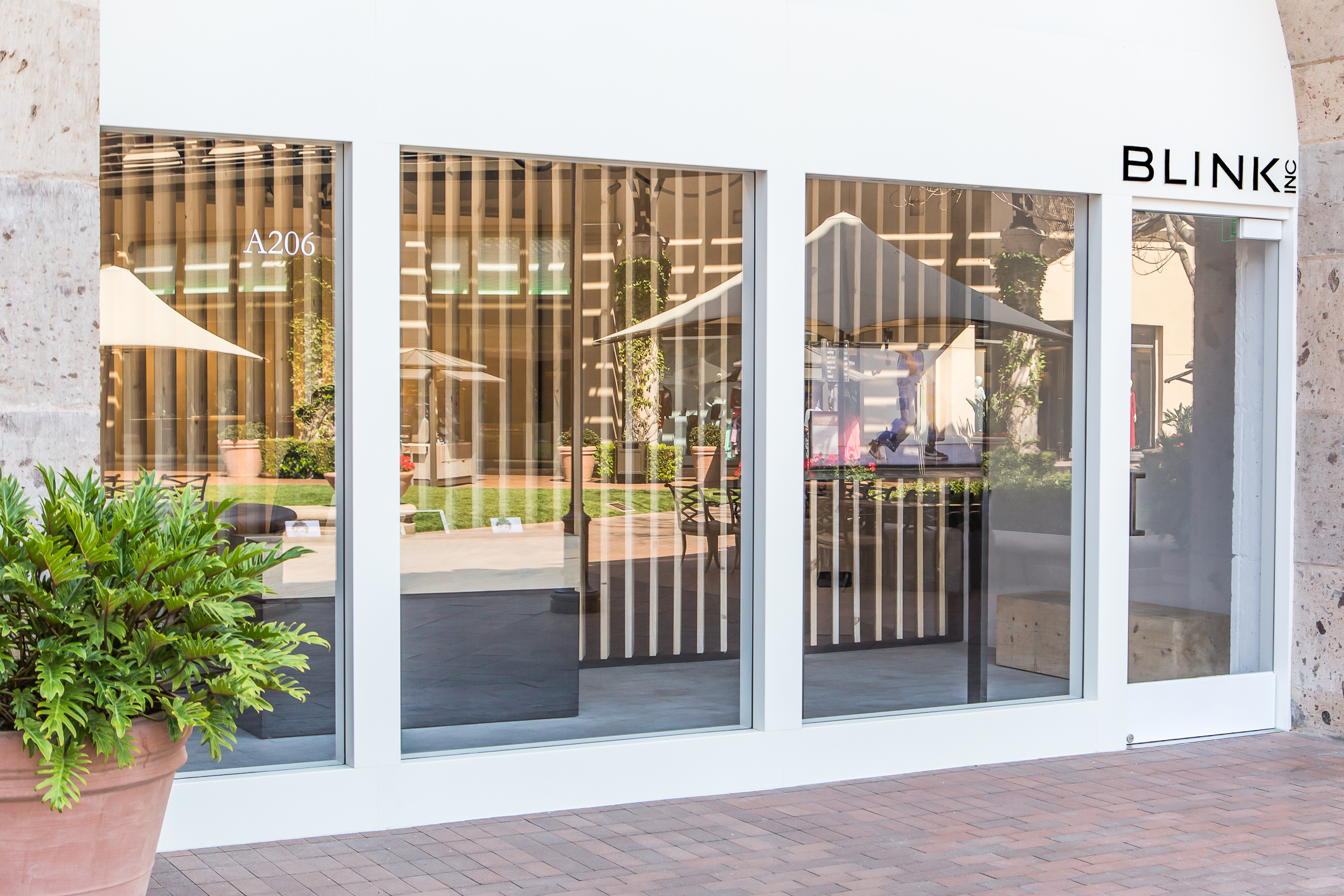 眨眼公司(Blink Inc·)-3