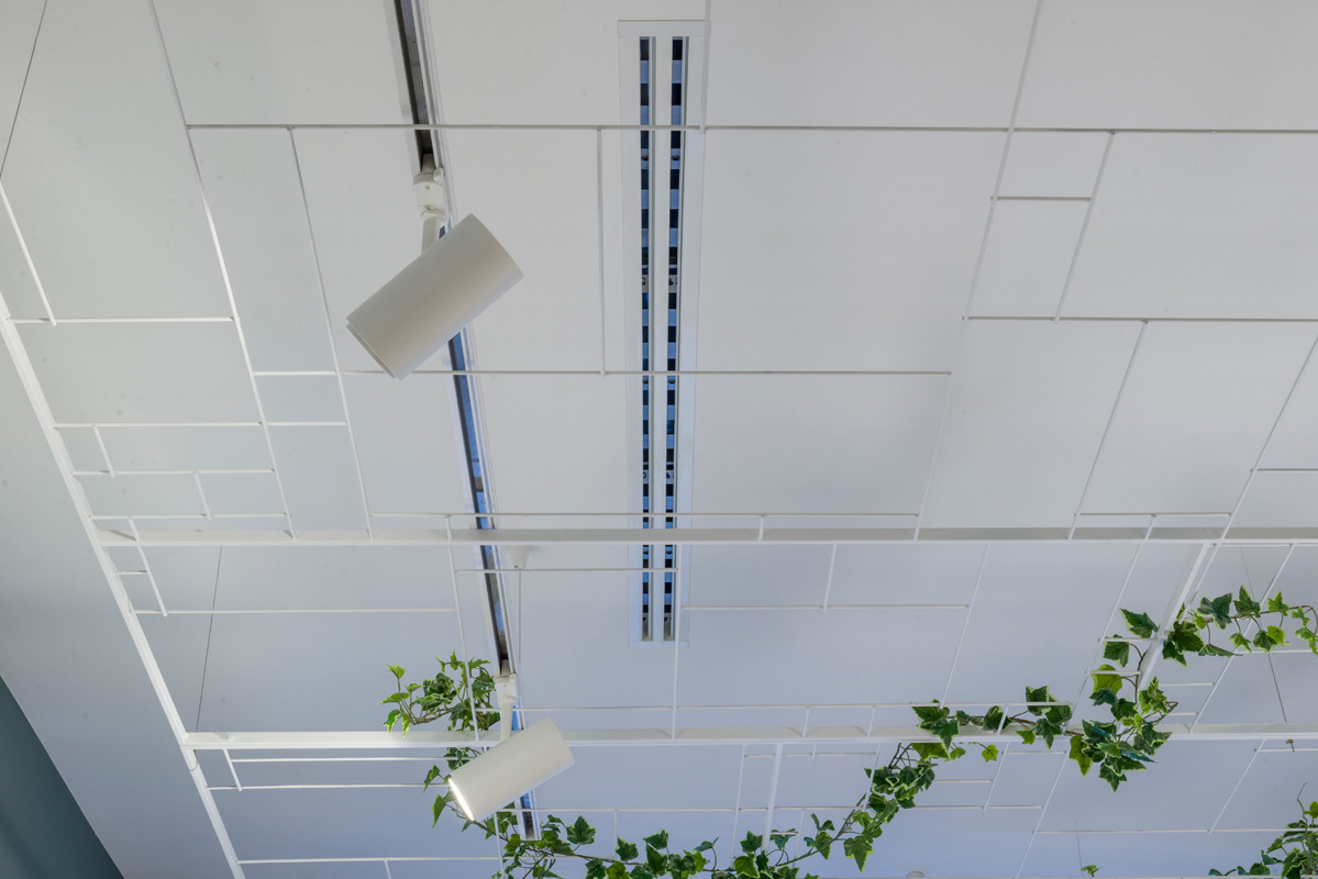 绿意盎然的家庭旅行工作站-16