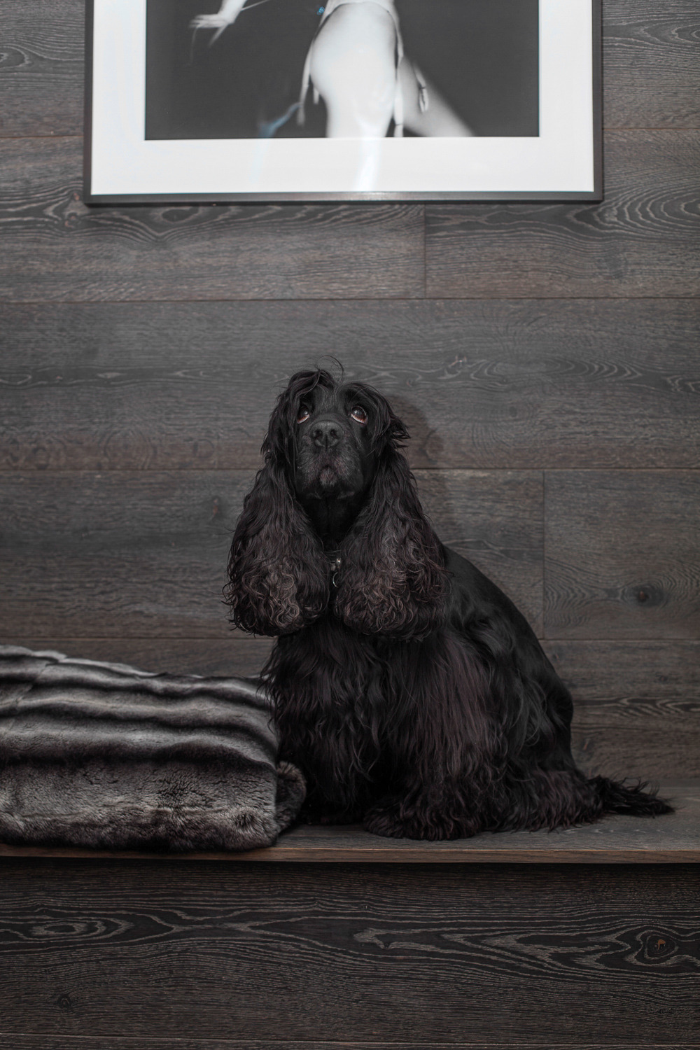 伦敦中心区 Casa Botelho 完美改造-15