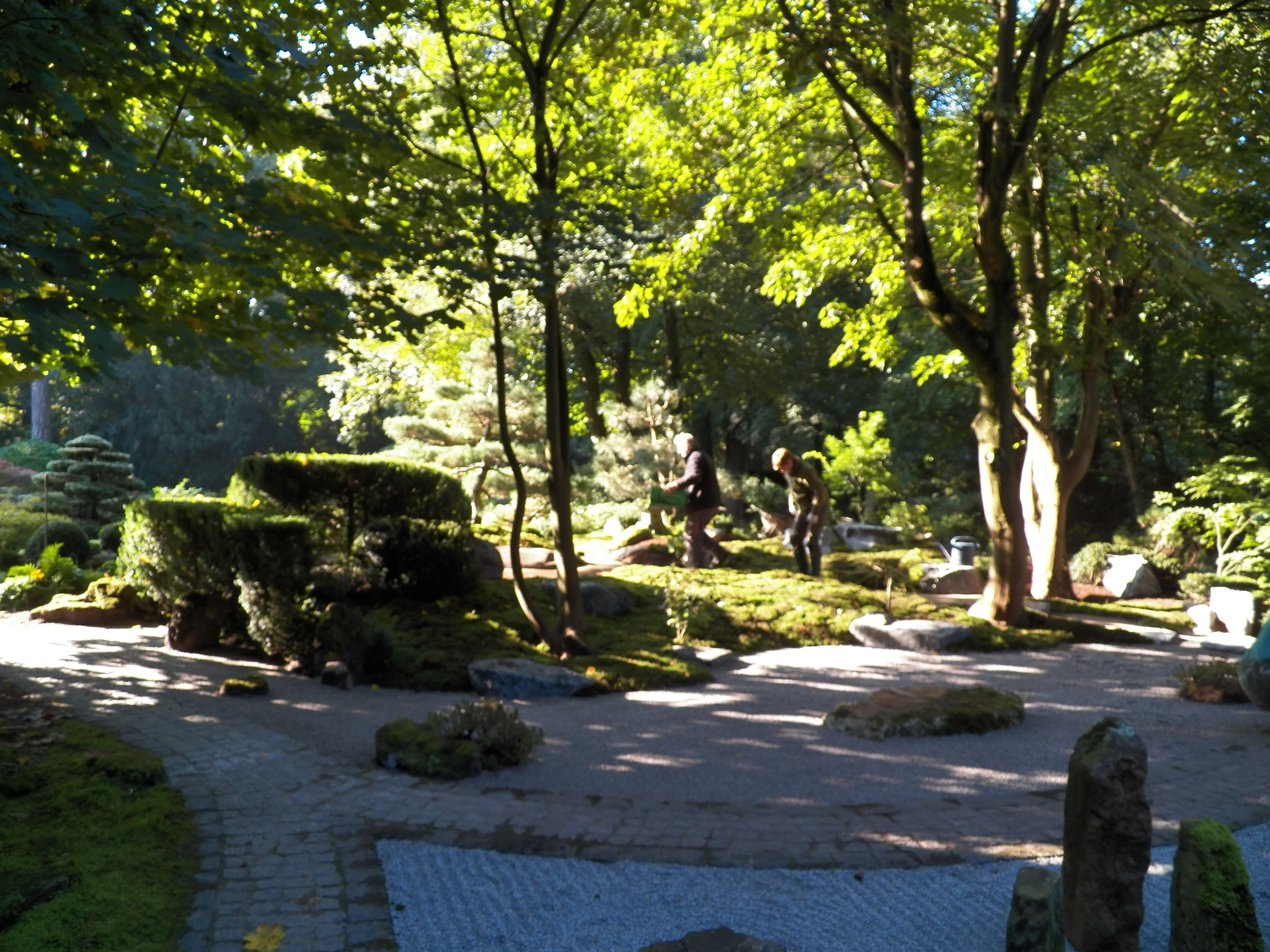 禅意园林 | 日本庭院设计实例-4