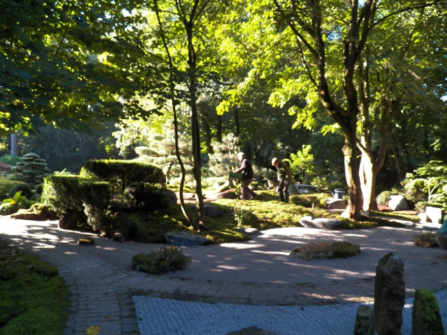 禅意园林 | 日本庭院设计实例-4