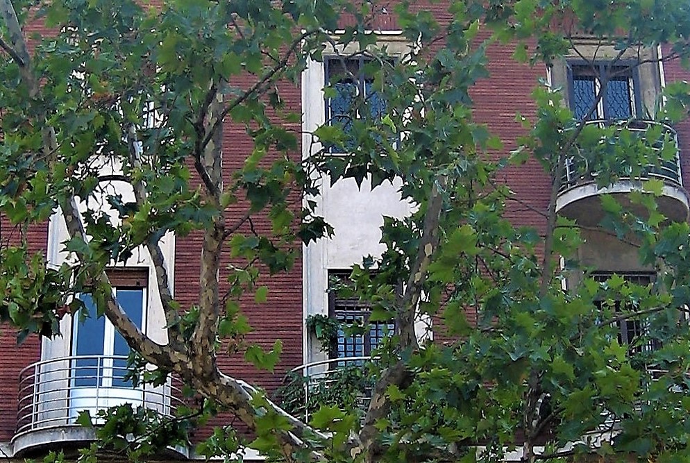 1936 年罗马建筑抗震检测 | 古建修复与更新的典范-1