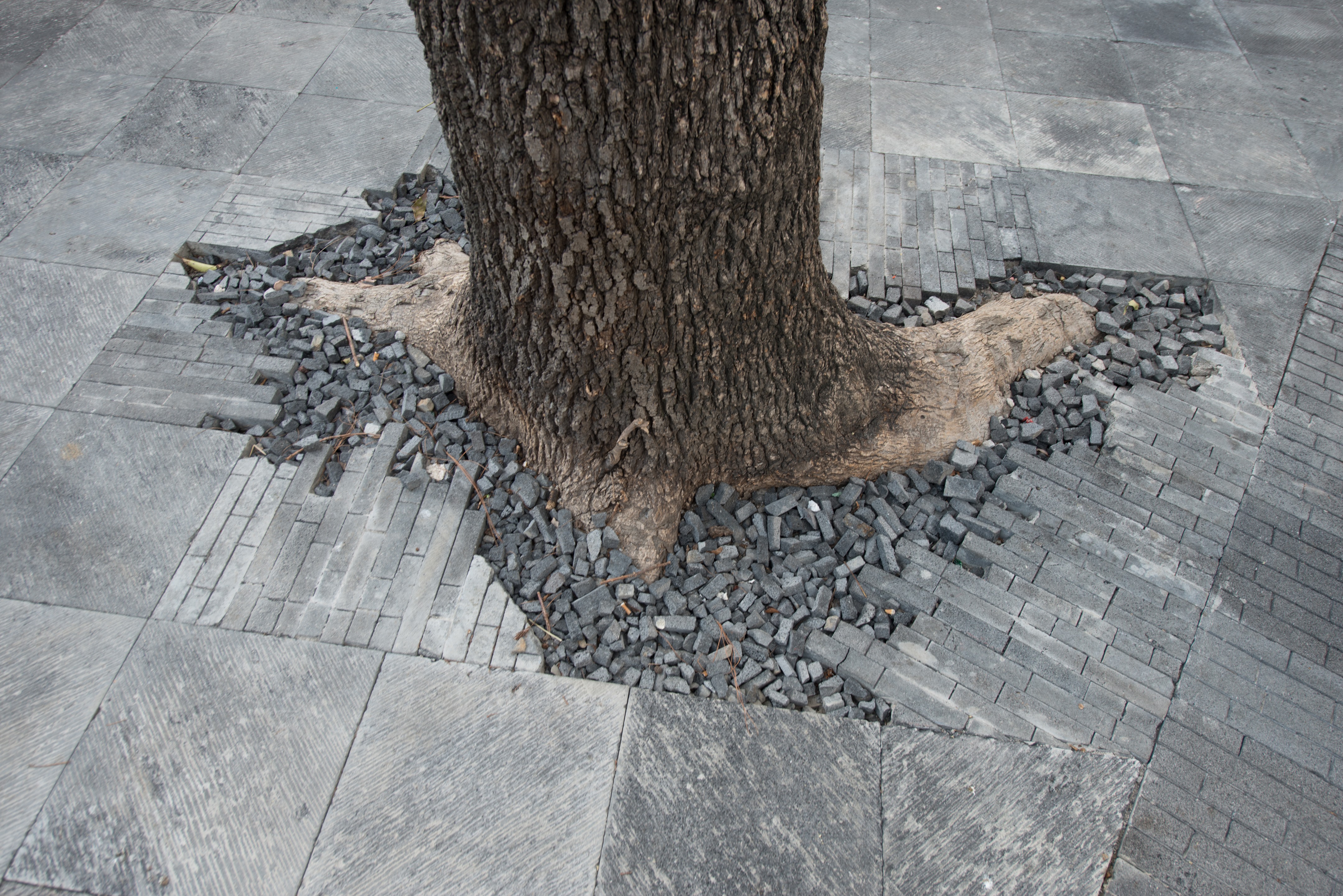 墨西哥城圣哈辛托广场历史遗迹的现代复兴-6