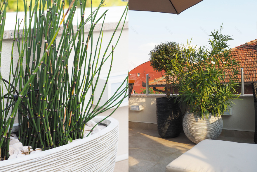 为所有感官而创造,私人住宅花园和屋顶露台-41