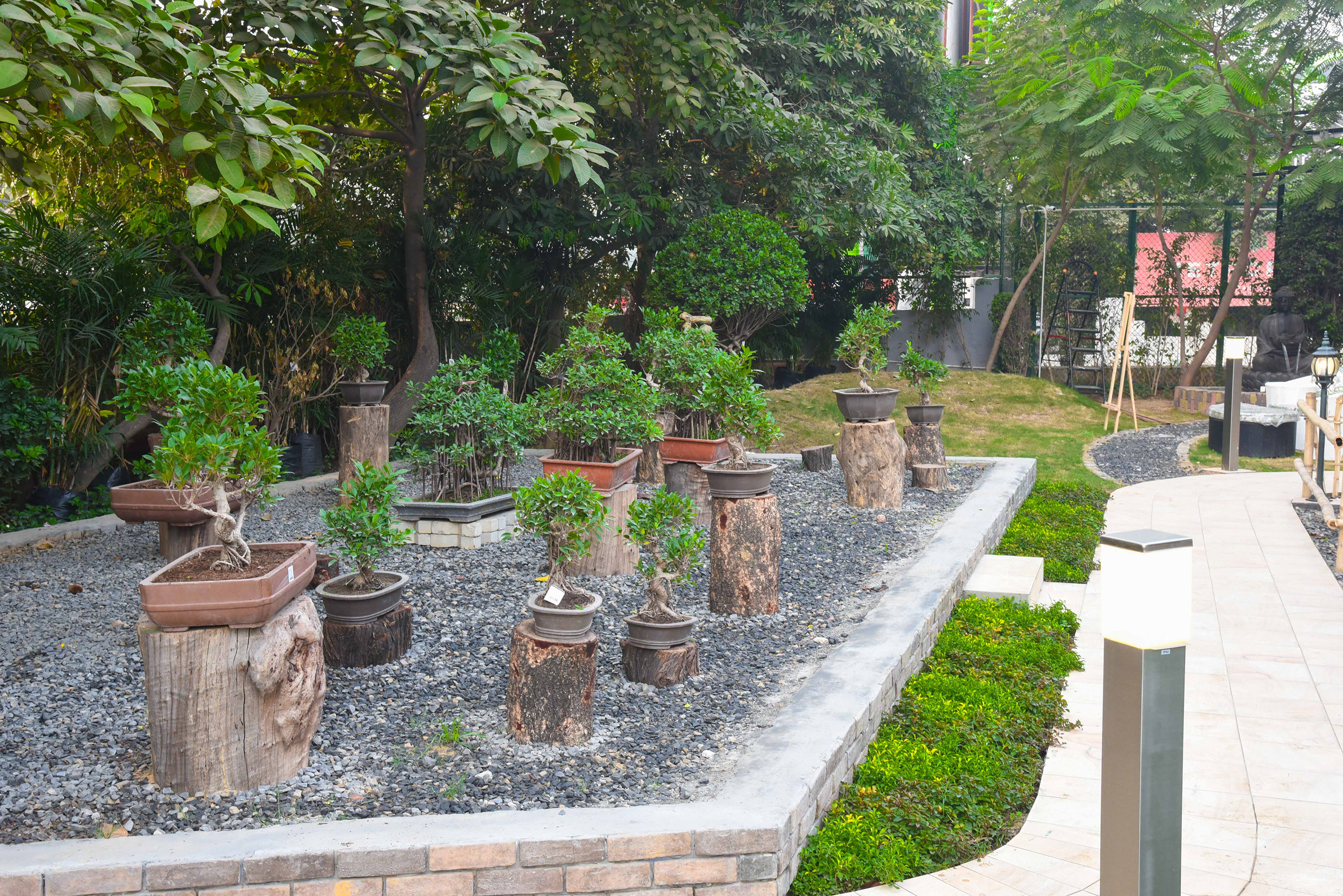 绿色氧吧 NG Studio-25