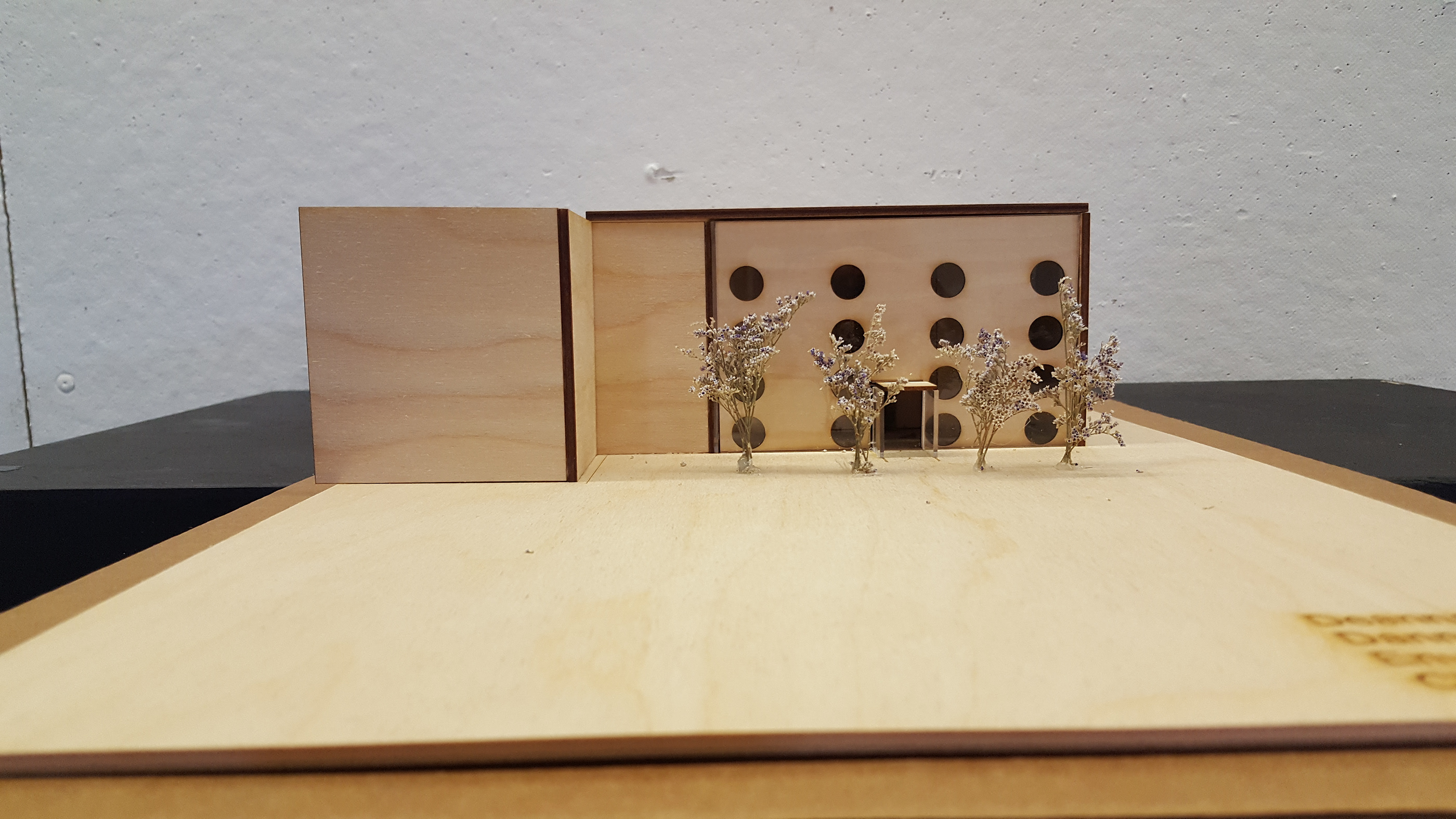 Youth Wellness Center-15