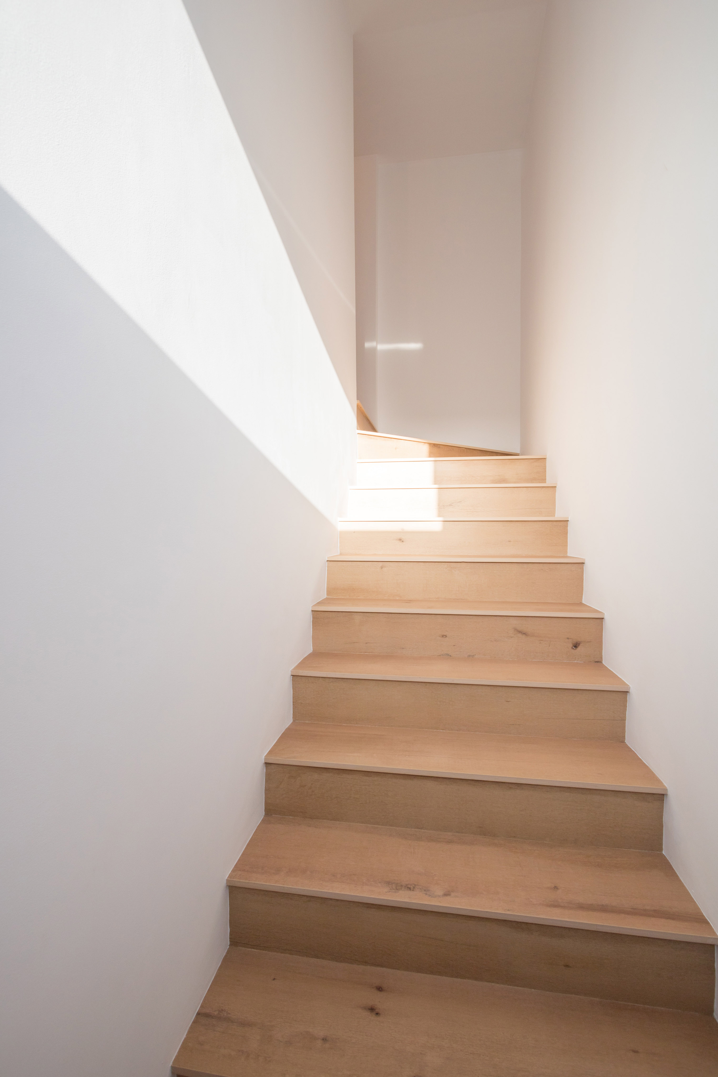 历史果园“El Pilar”的恢复性改造-16