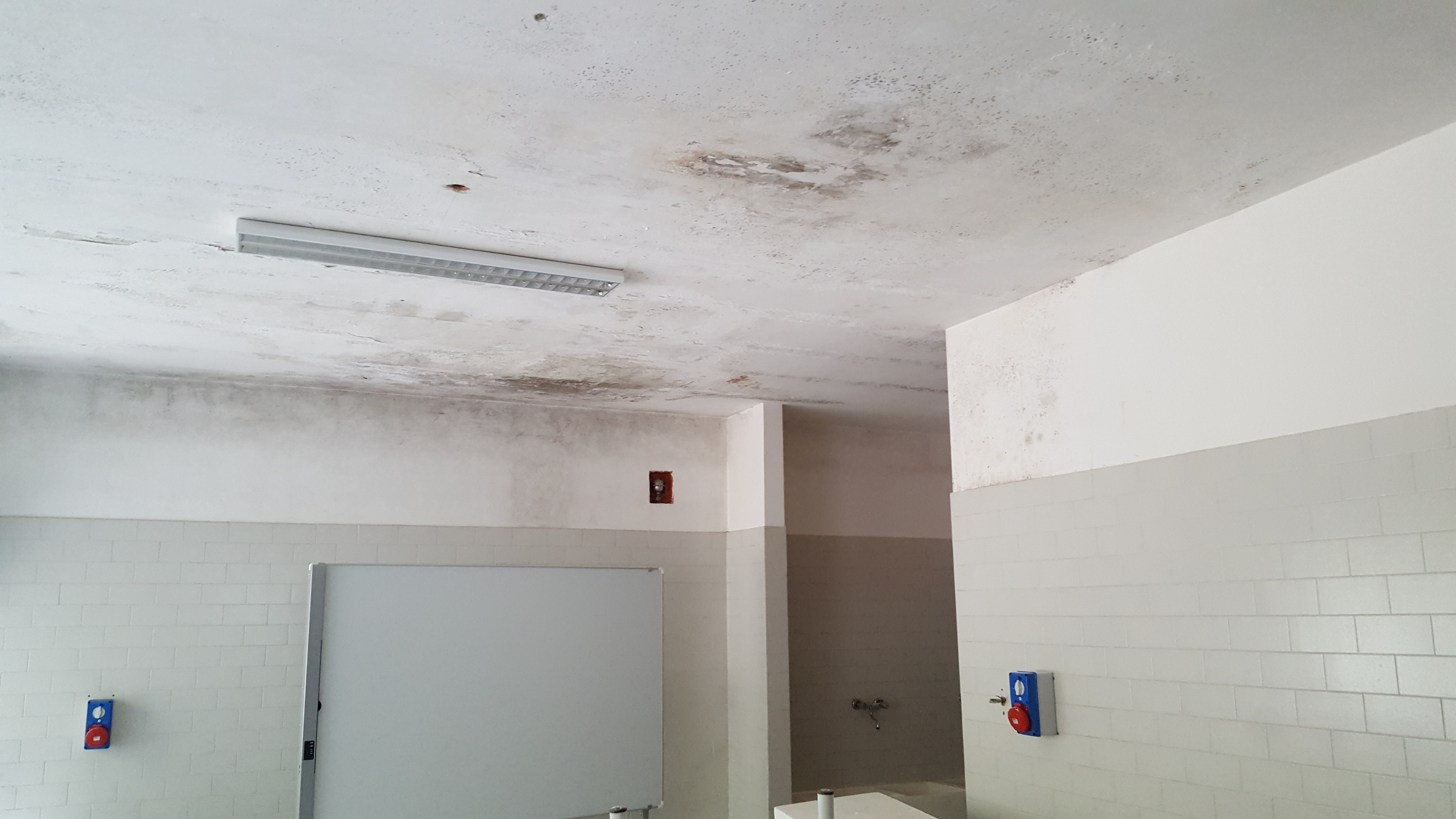 意大利 T·Fiore 学校社区图书馆设计-4