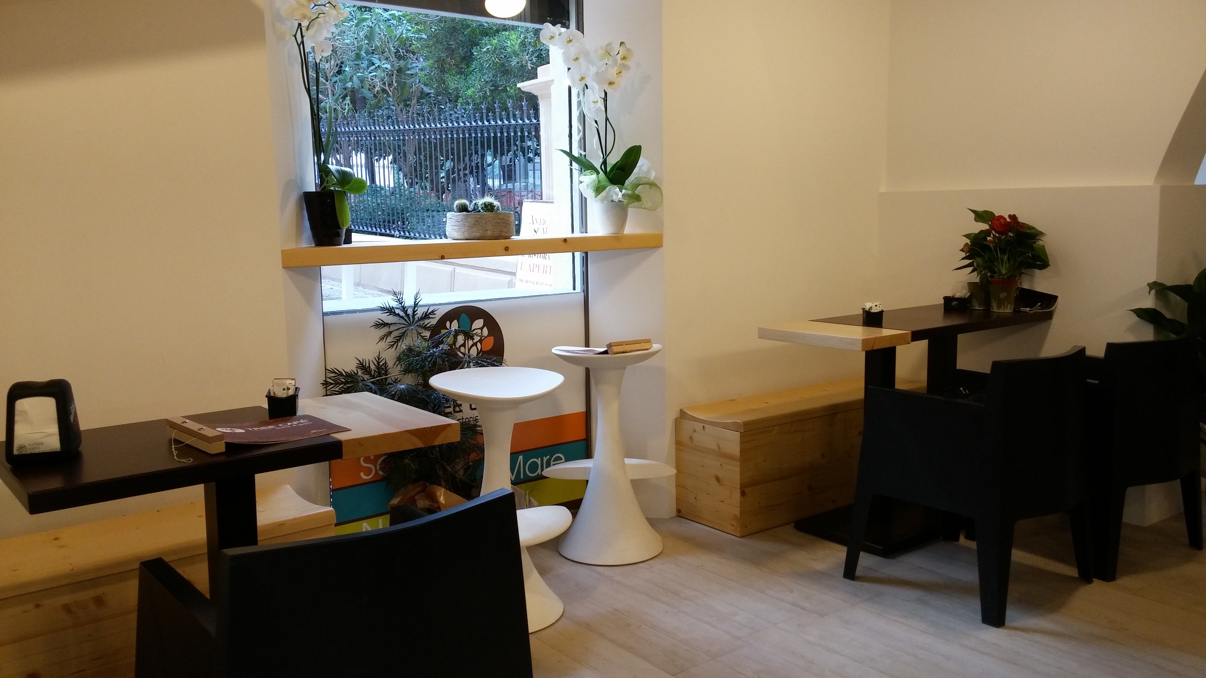 古树咖啡馆 | 自然之美融入设计-3