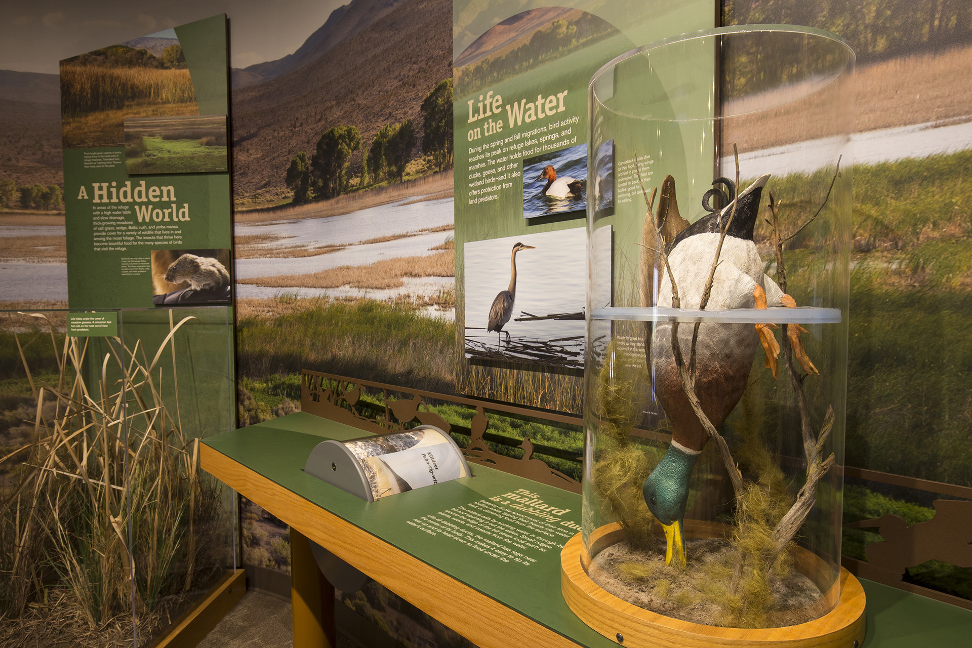 帕拉纳加特国家野生动物保护区游客中心-12