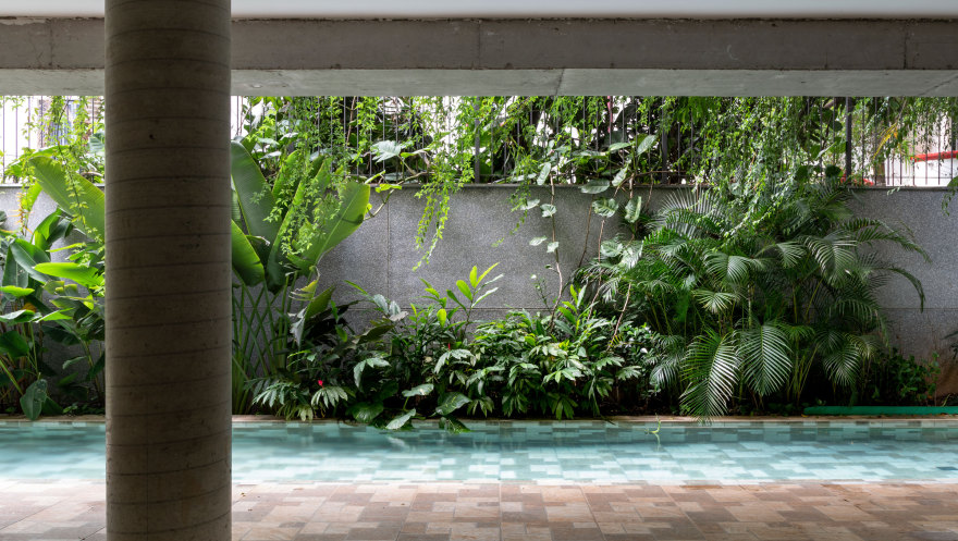 巴西绿色住宅楼,绿意盎然与城市景观相融-14