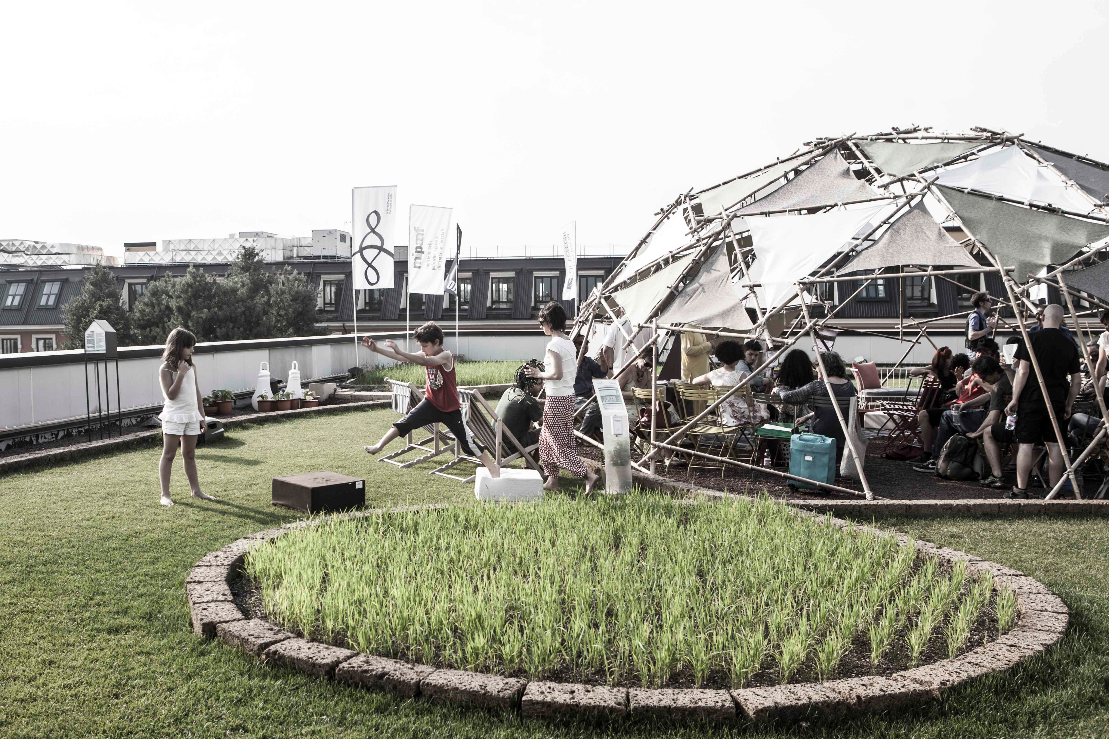 米兰屋顶稻田 · 创新城市农业设计-16