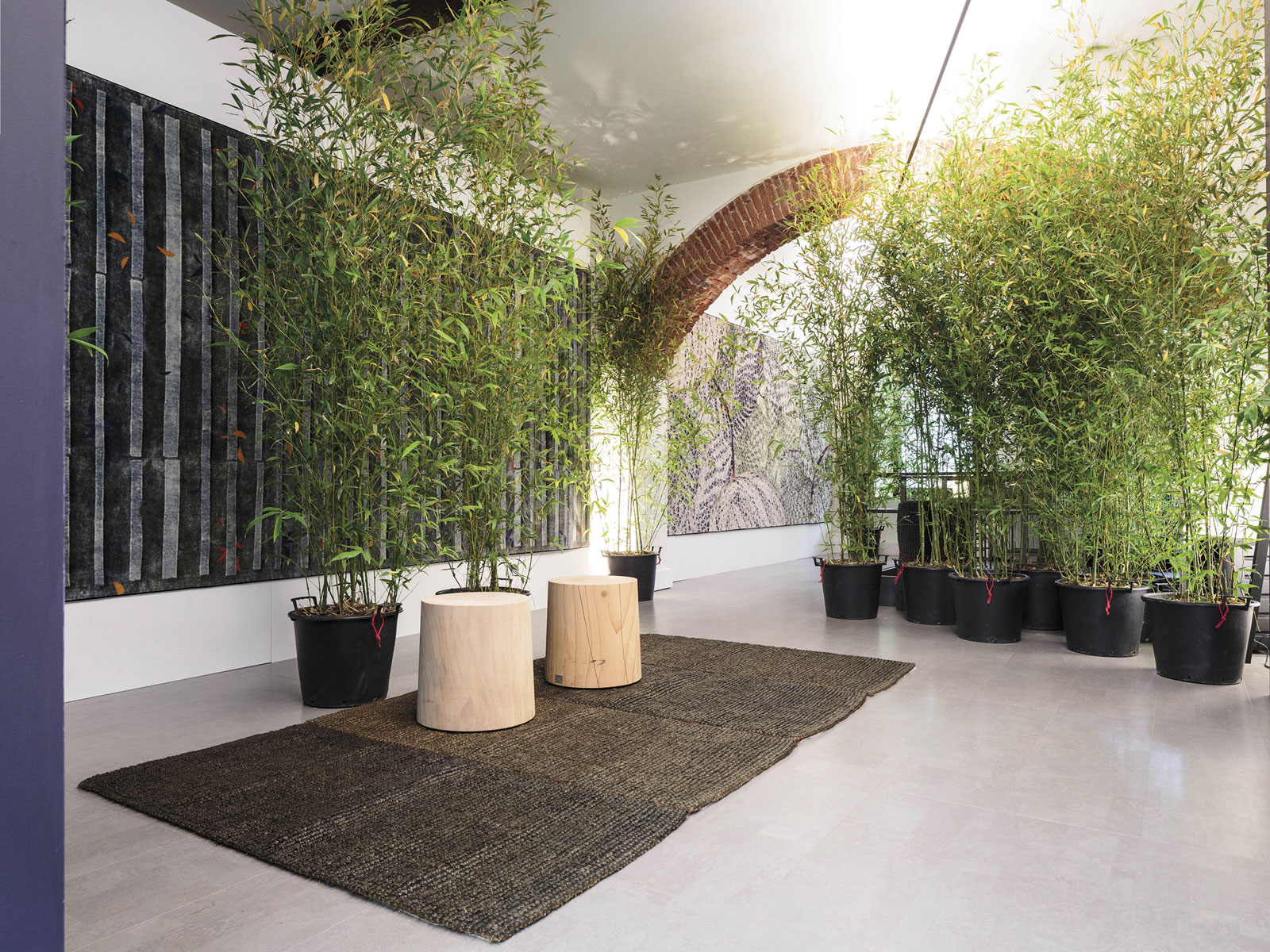 移动森林·迪安娜·科梅利尼著-11