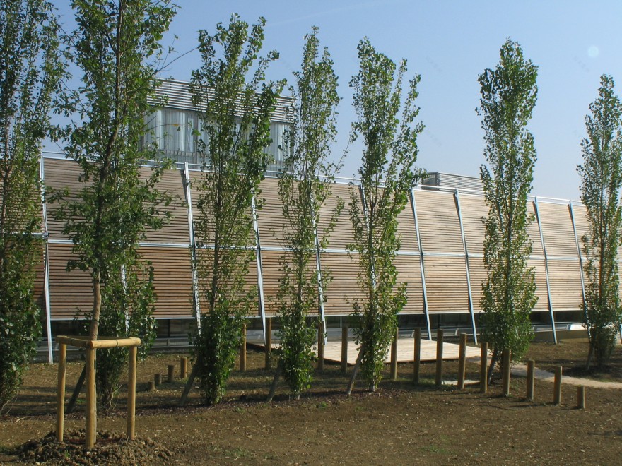 生态幼儿园 · 自然与建筑的共生-4