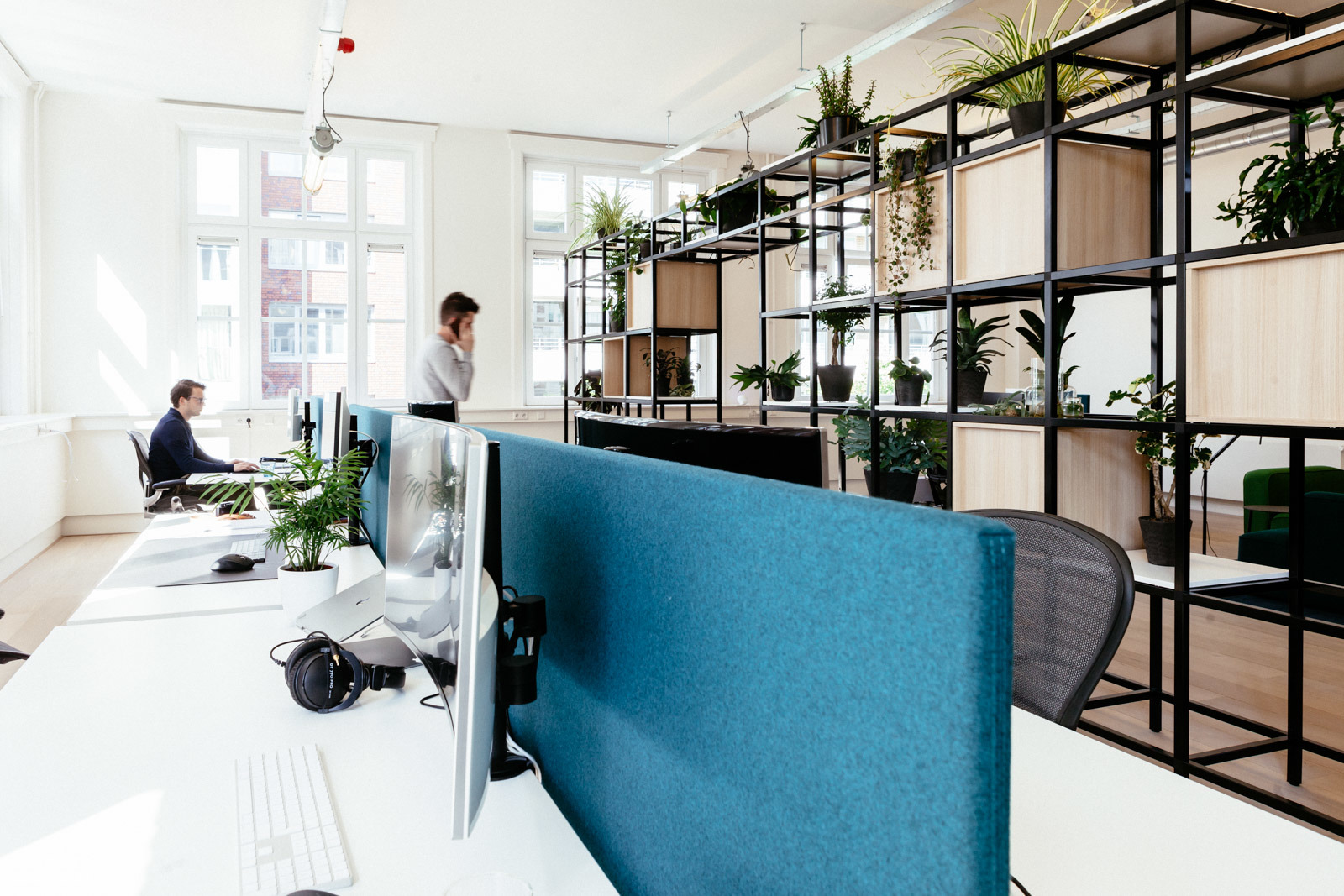 荷兰 Imkey 办公室 | 古典建筑中的现代绿意空间-8