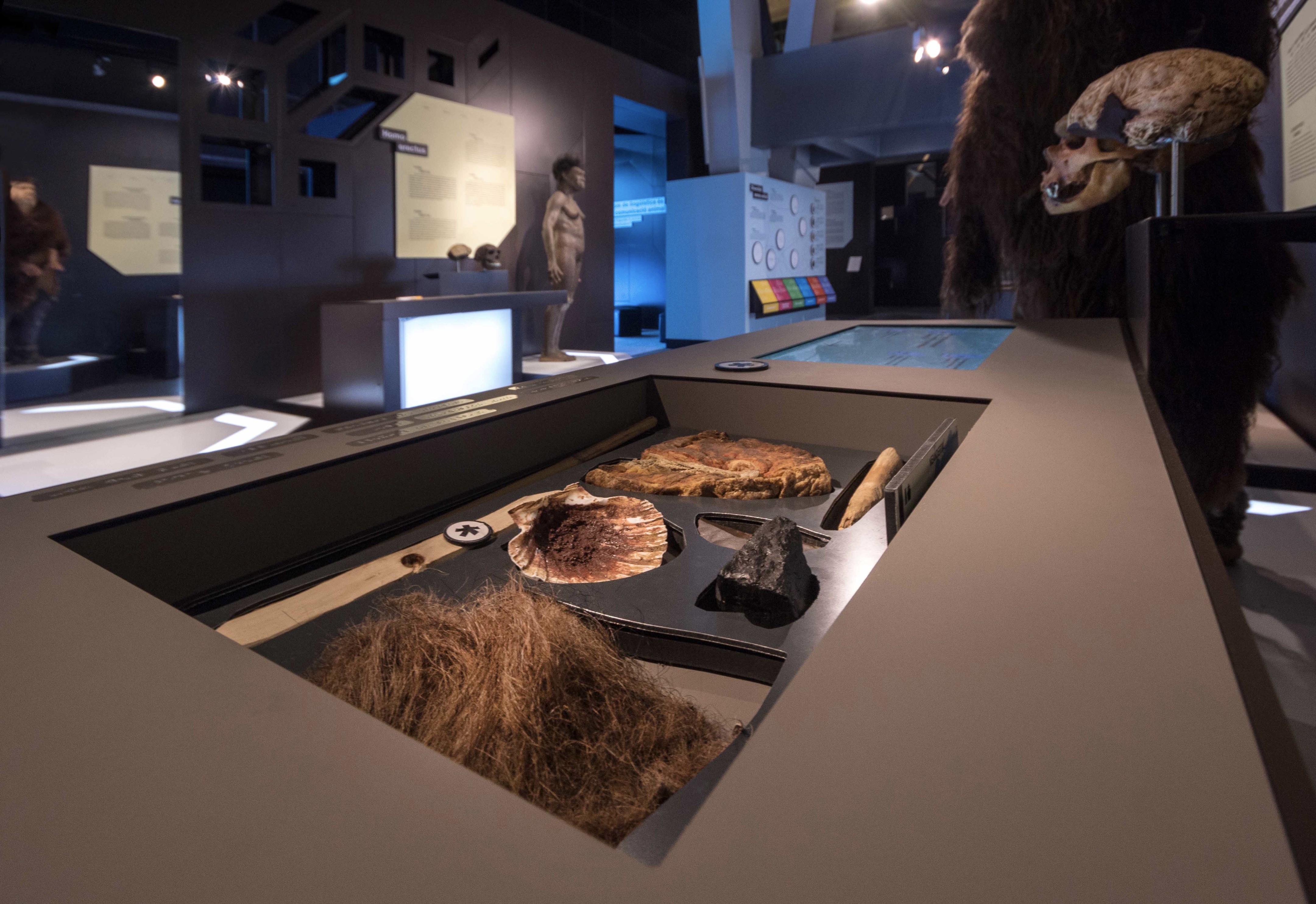 Talking Brains 展览设计-37