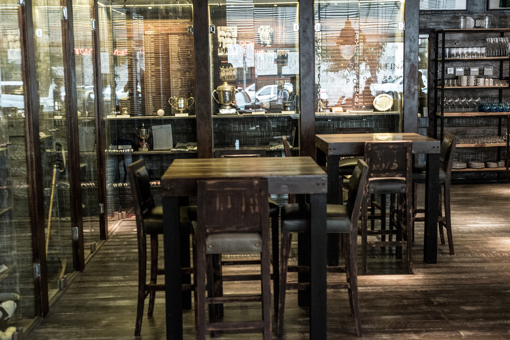 海豚马球酒吧——阿尔科塔宫,布宜诺斯艾利斯,阿根廷-15