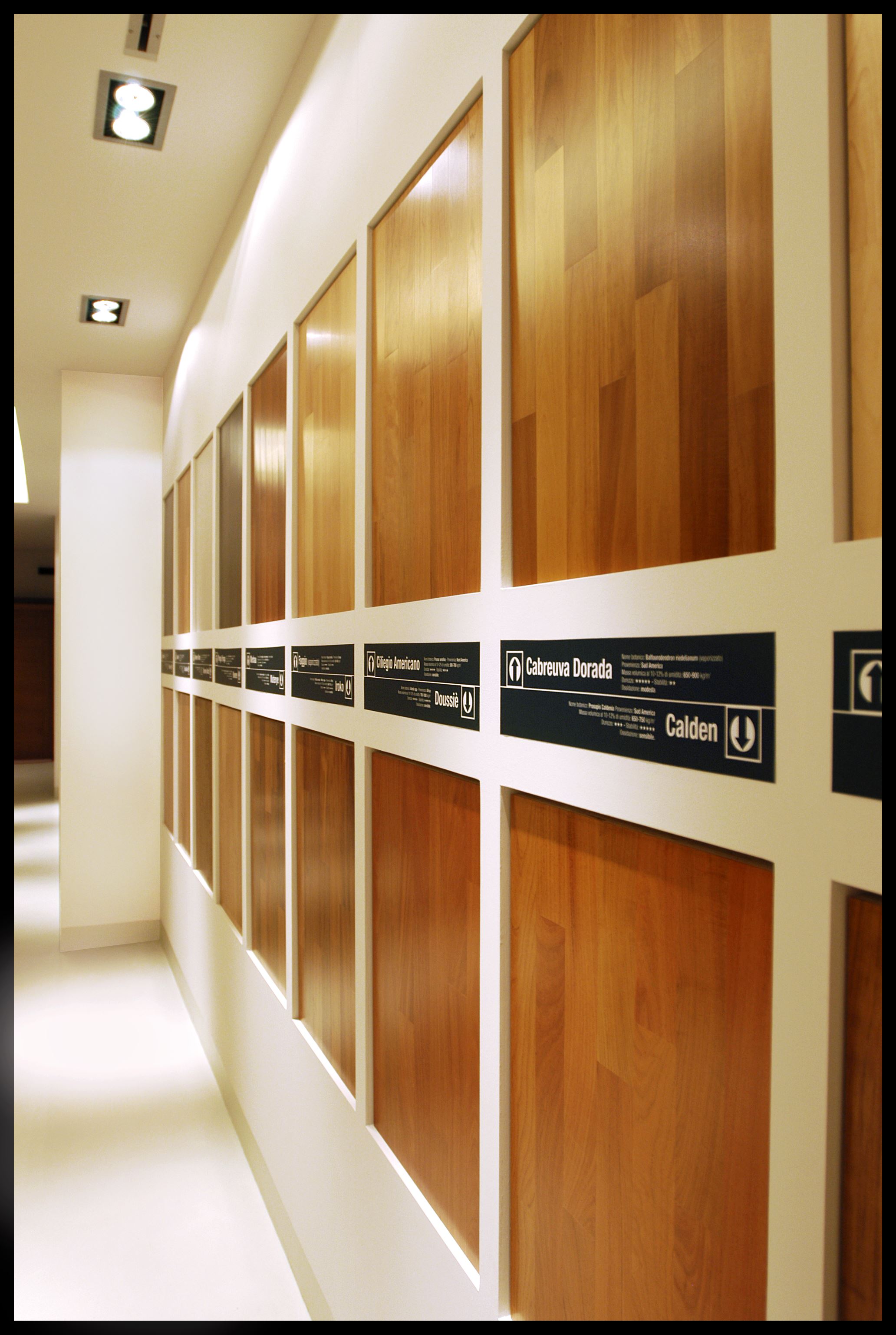 2006 年 DE MA Rappresentanze 总部室内设计案例-4