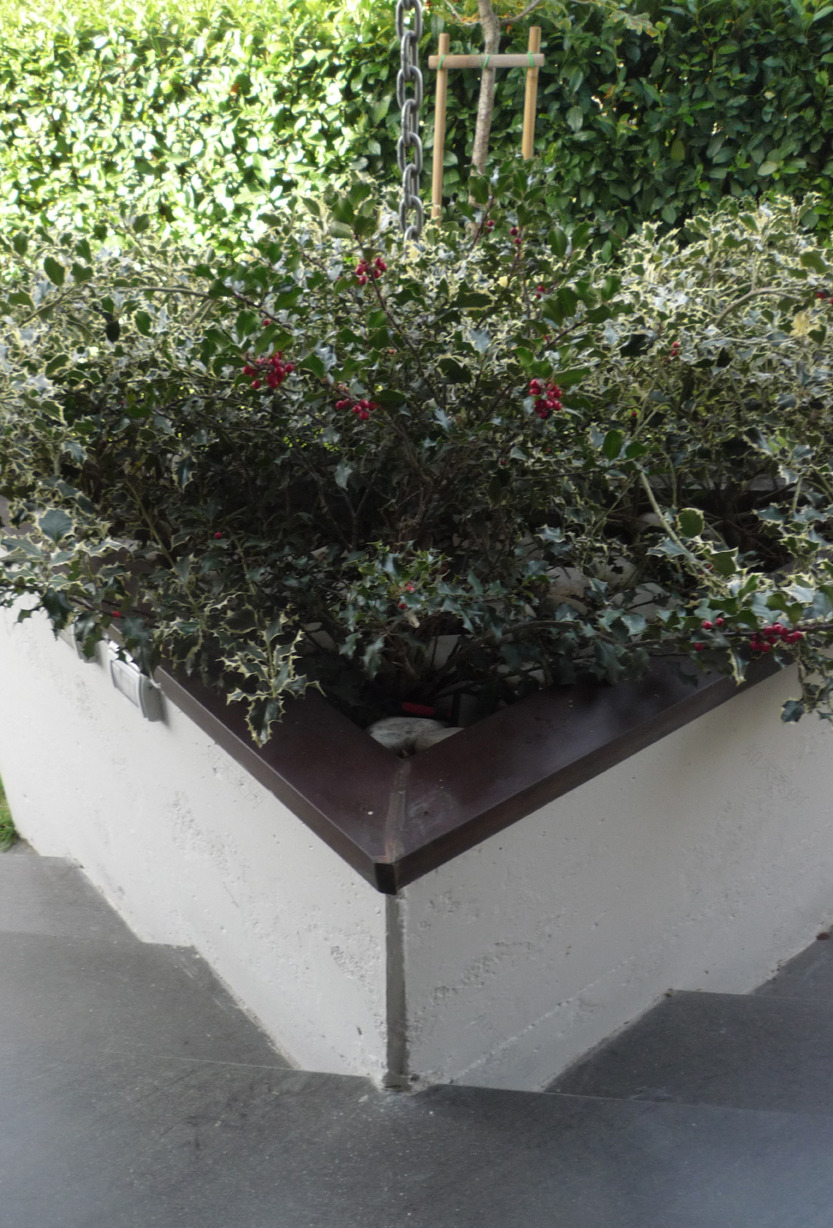 阳光与绿意共生 | 家庭住宅设计案例-26