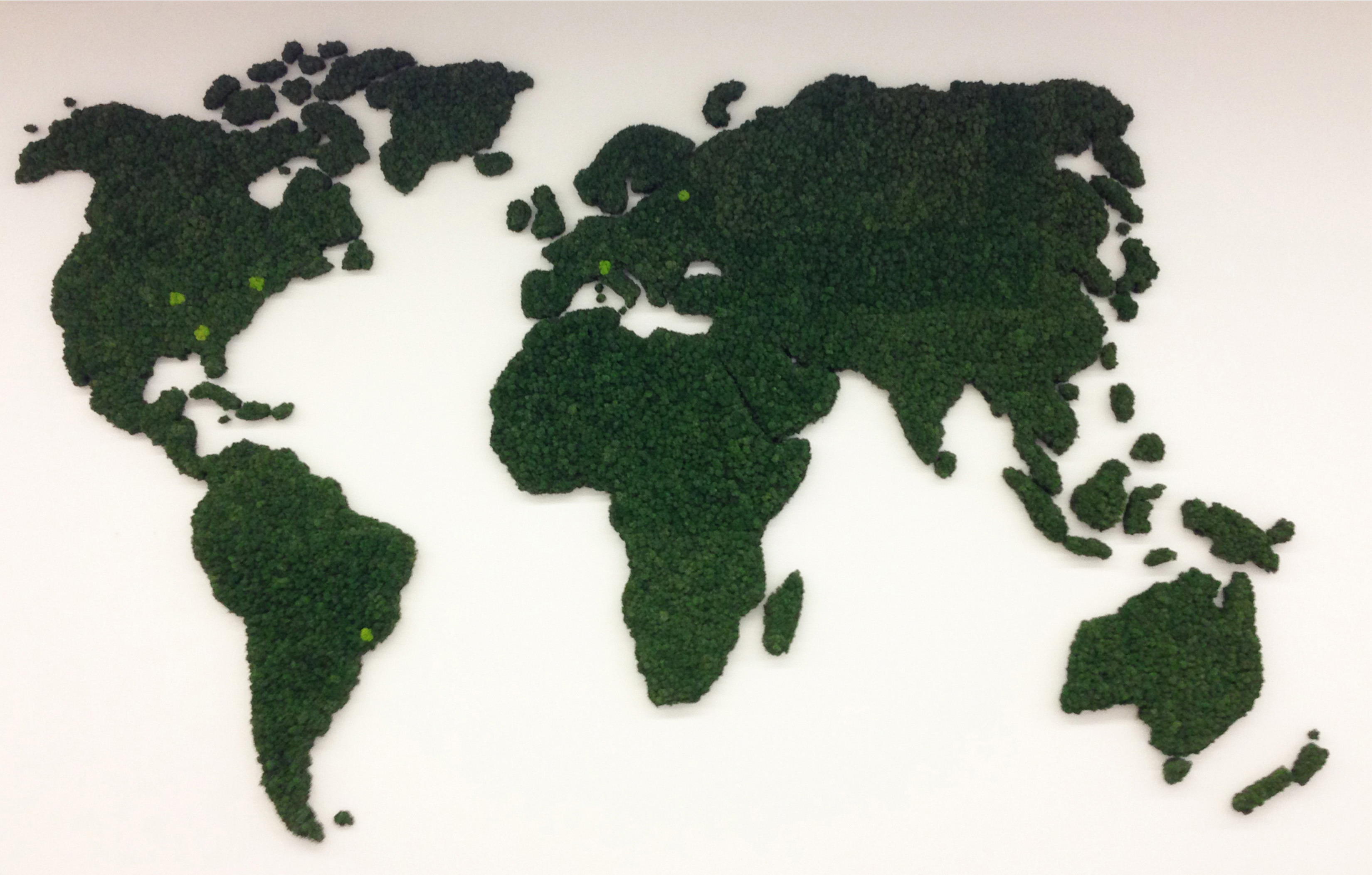 绿色栖息地 · 挑战室内绿化的极限-6