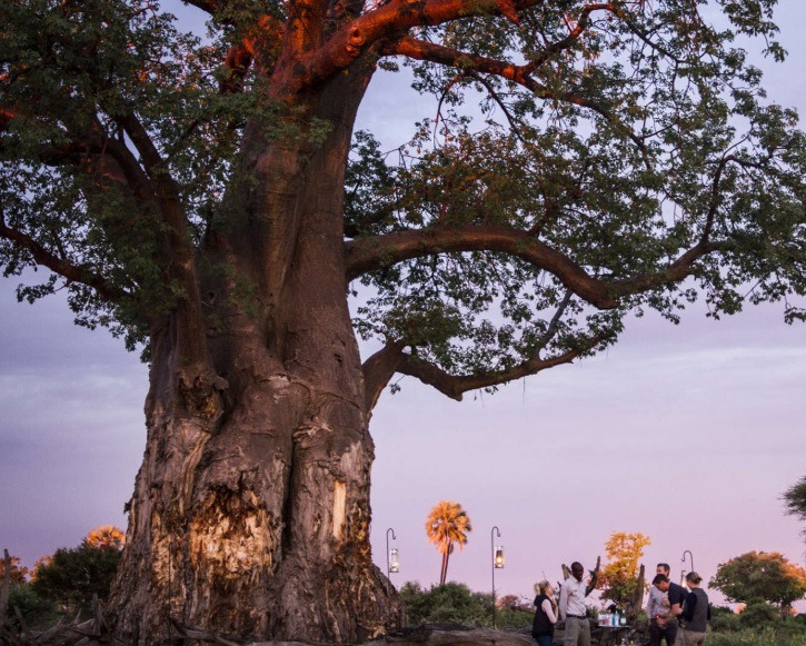 梅尔·蒙博托生态小屋-15