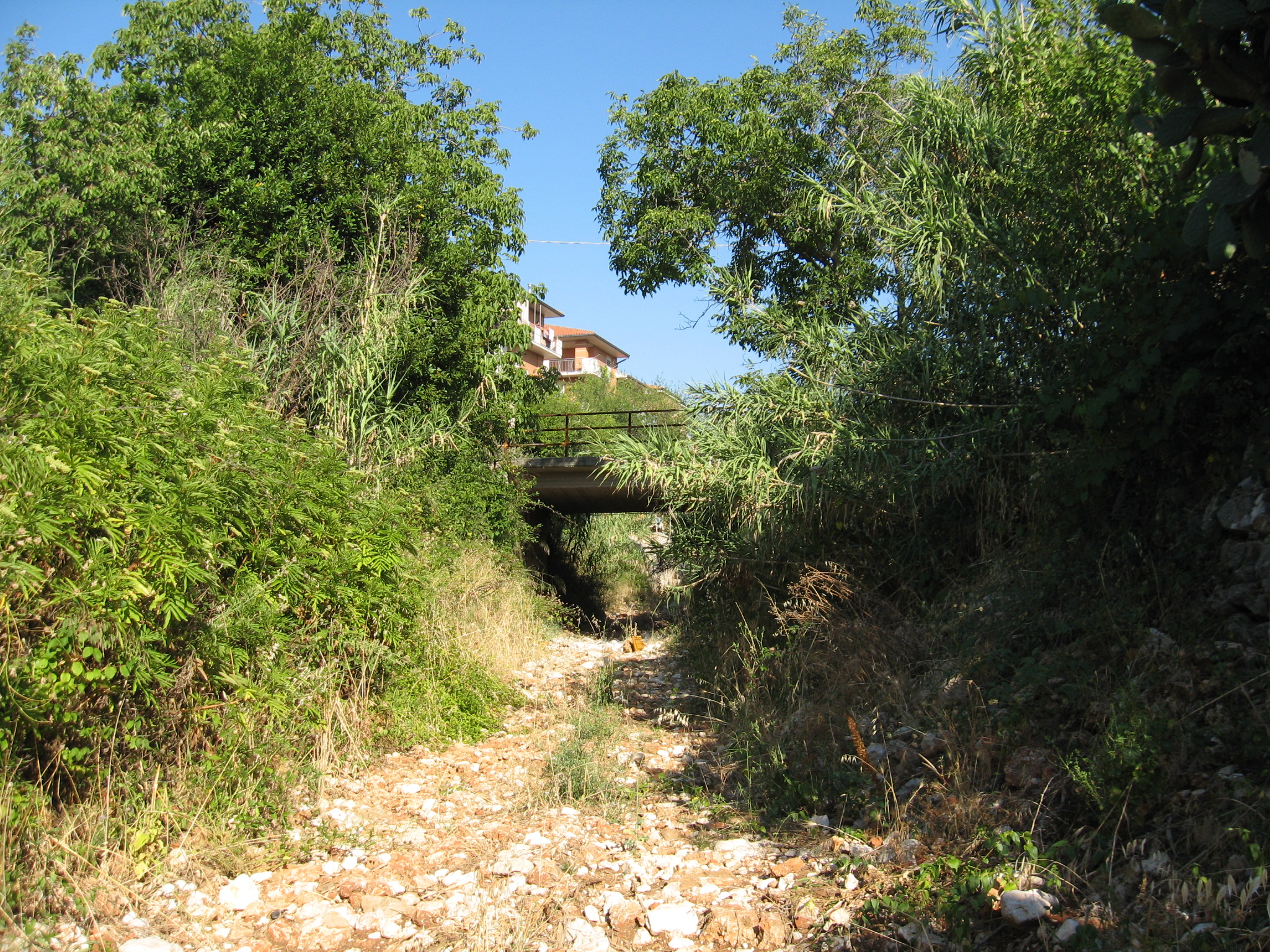 城市空间重塑 | 以河流恢复为契机的公园规划-3