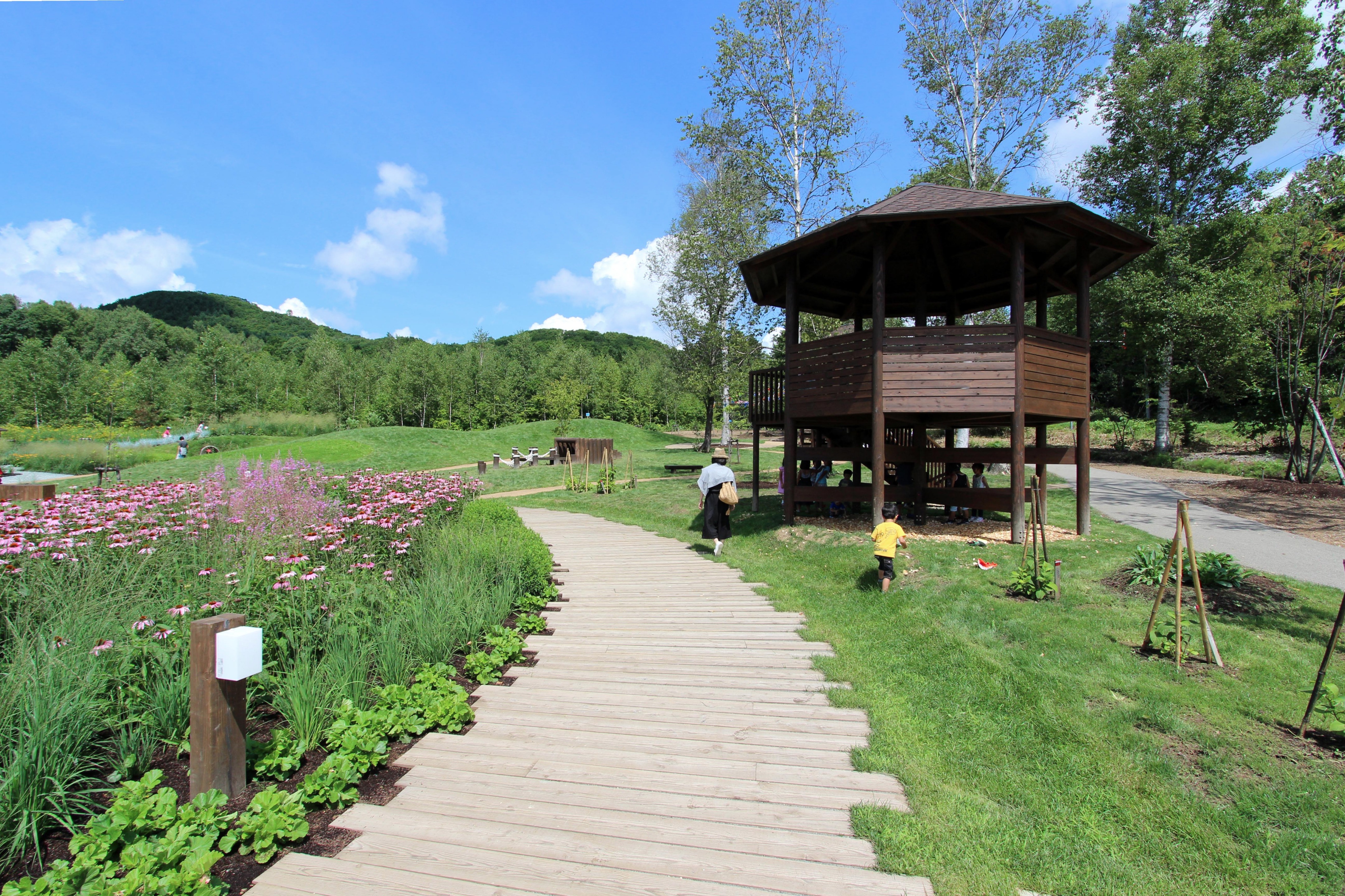 2015 年完成的库鲁米娜公共花园-17