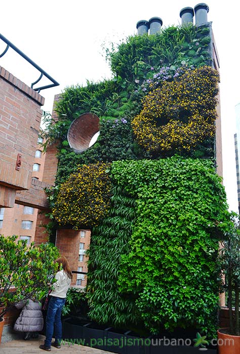 哥伦比亚绿色公寓墙 · 13 种植物的垂直花园-1