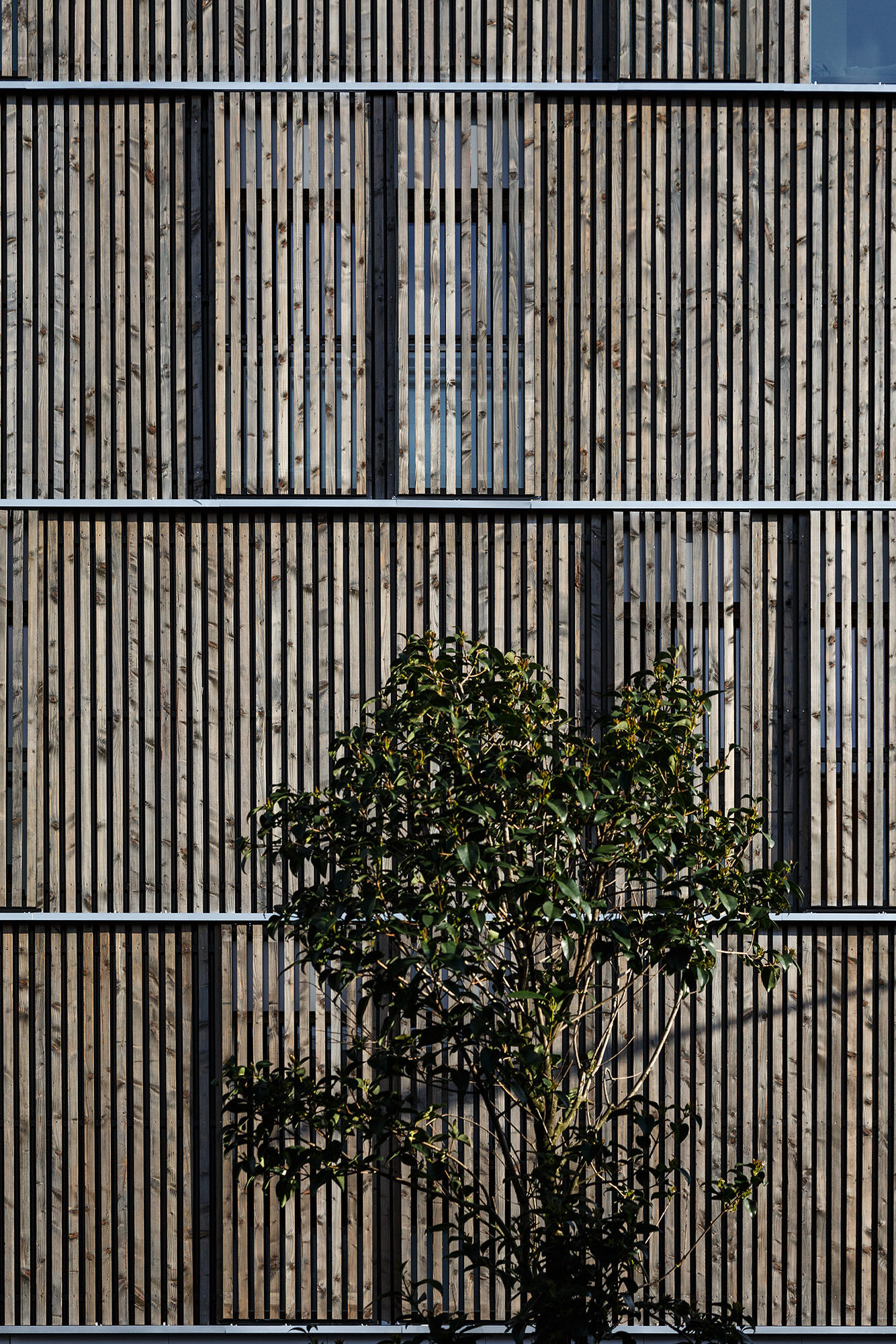 社会住房购买单元-6