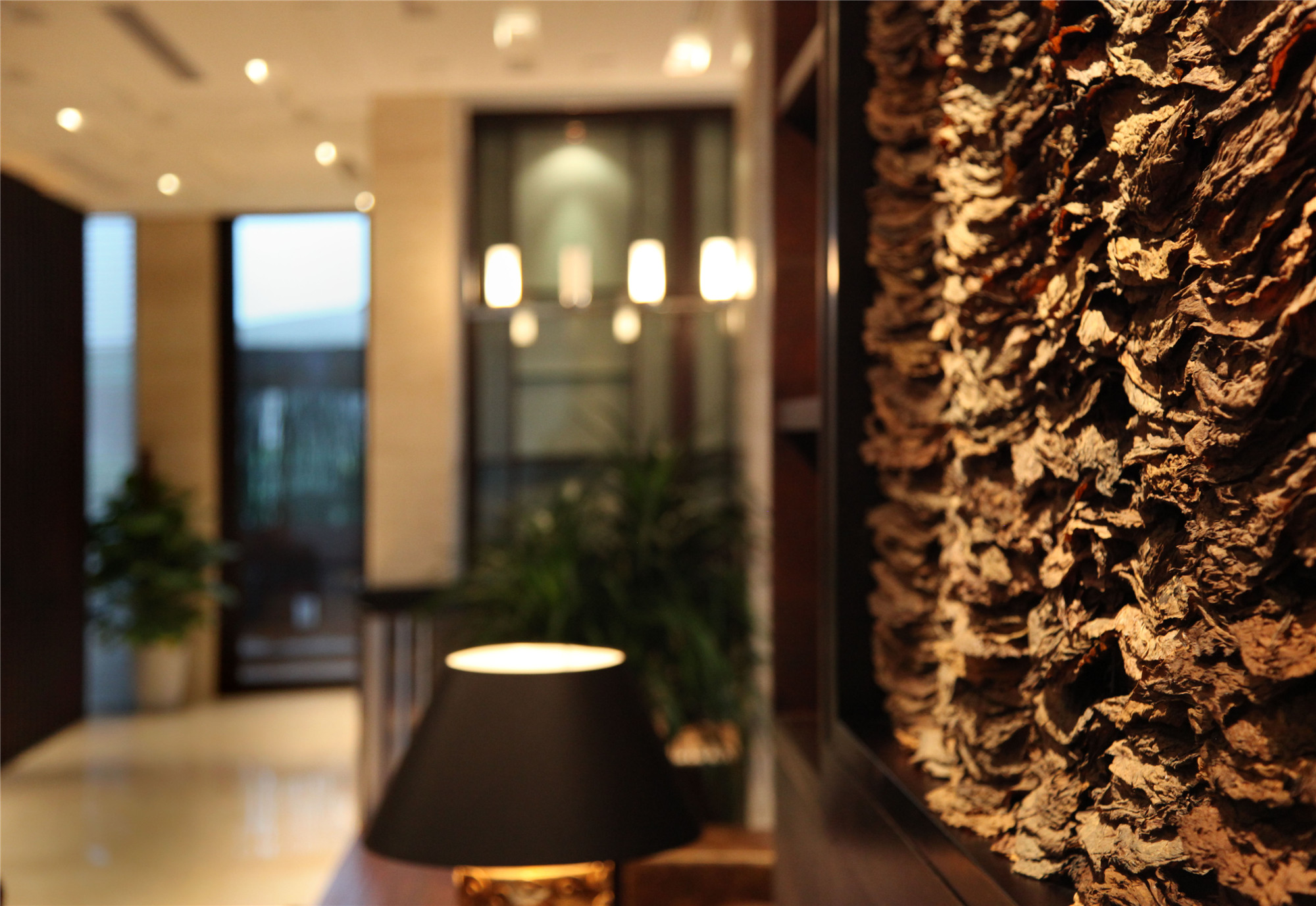 杭州天鸿美和院艺术会所-16