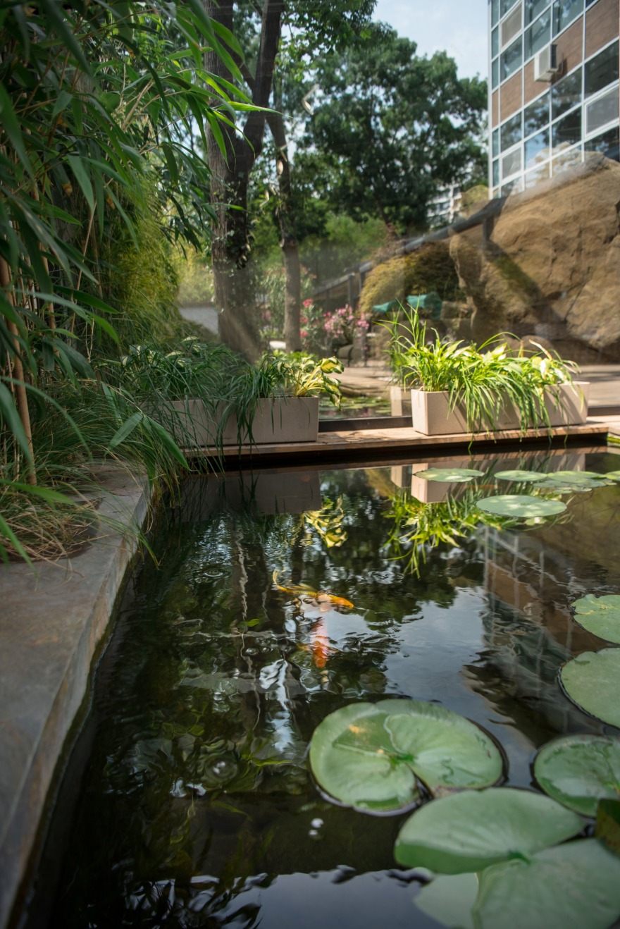 乌克兰 Azuma 餐厅露台 | 城市绿洲的餐饮空间-6