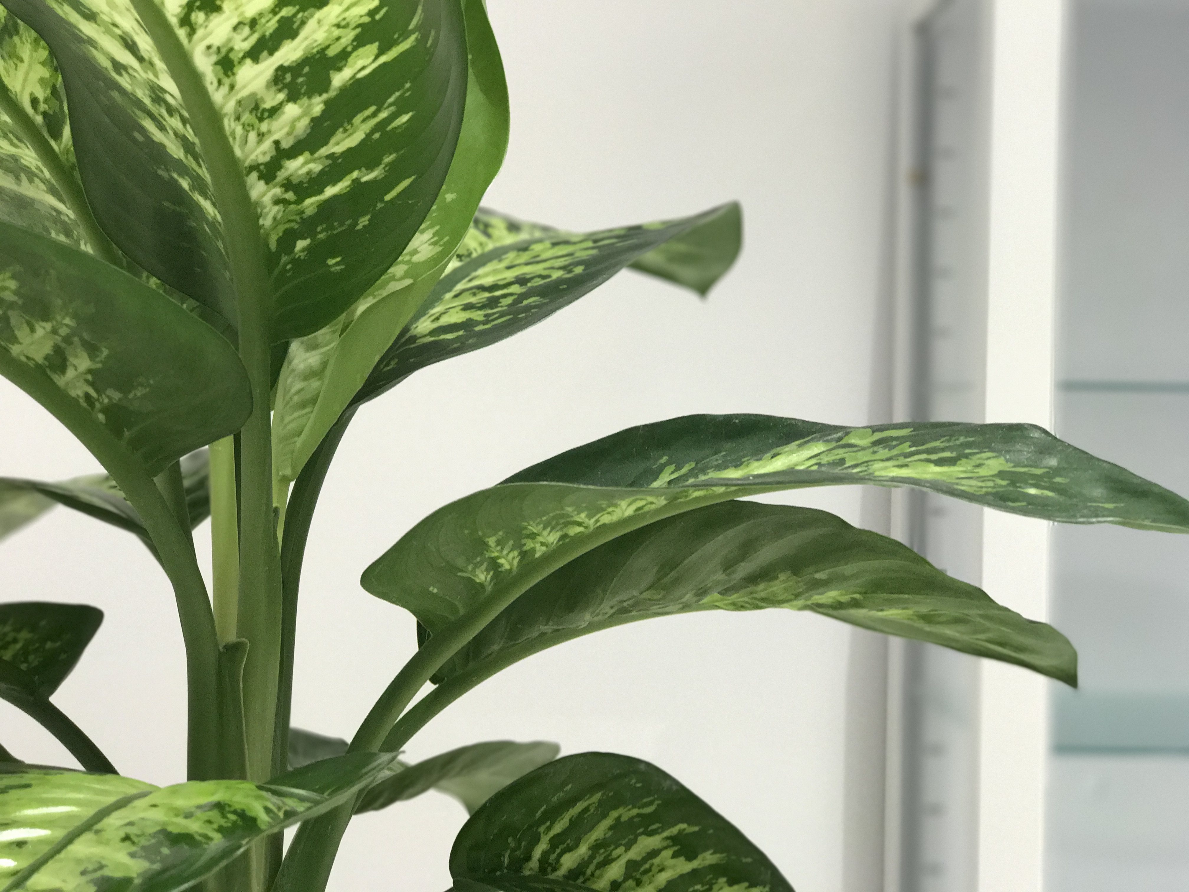 温馨医疗实验室-24