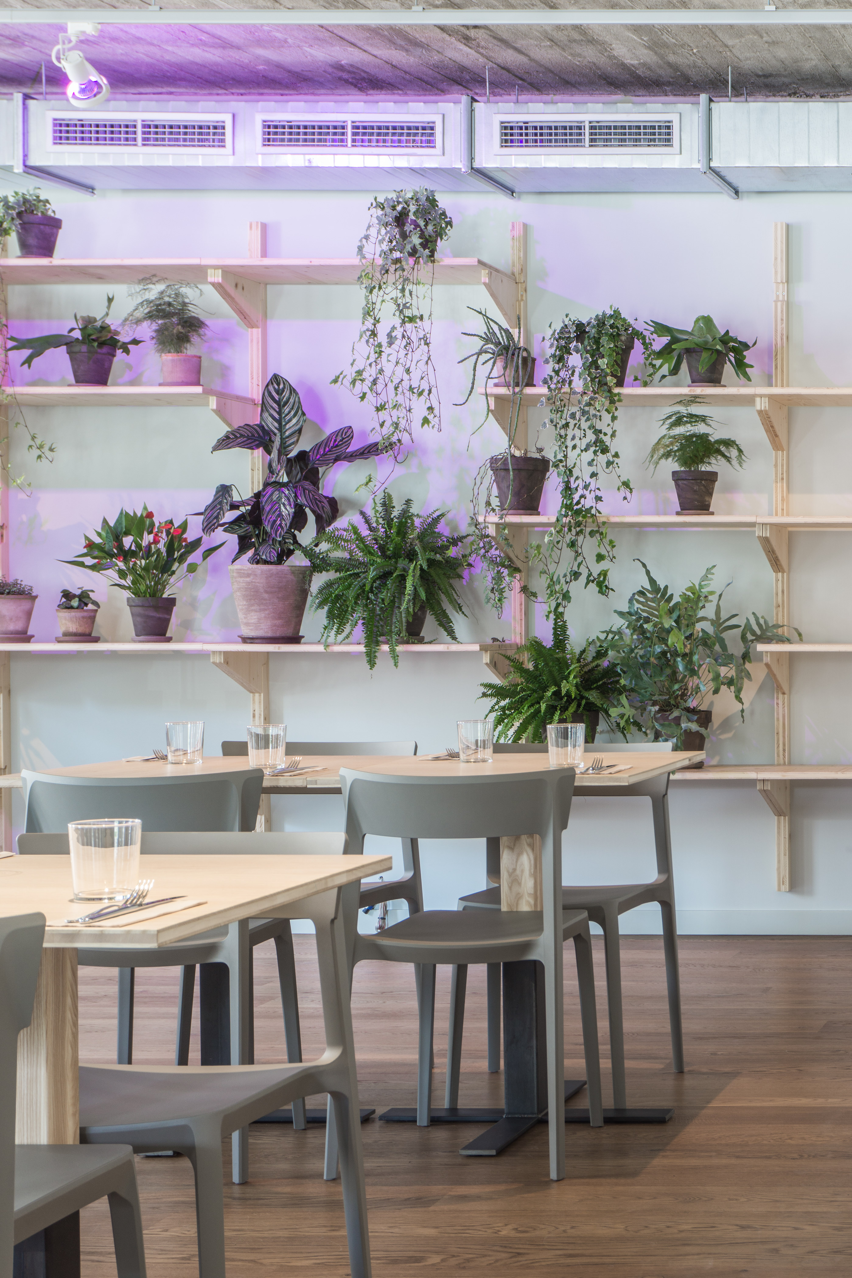 Freunde restaurant in Vilnius-14