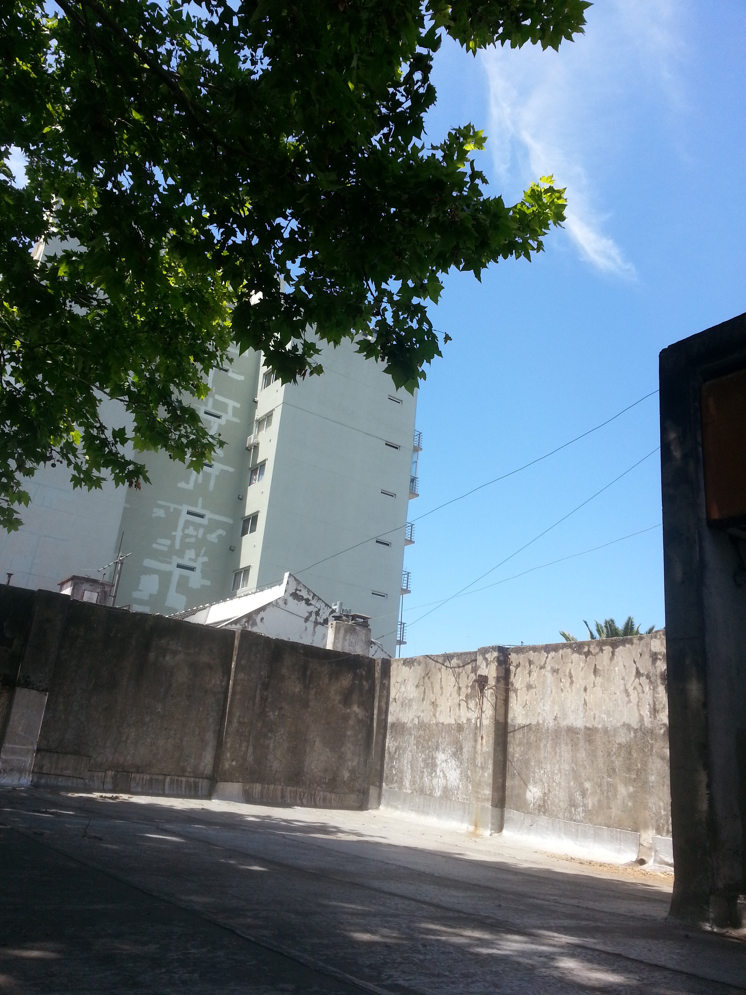 阿根廷布宜诺斯艾利斯 Flores 区五十年代风格家居改造-9