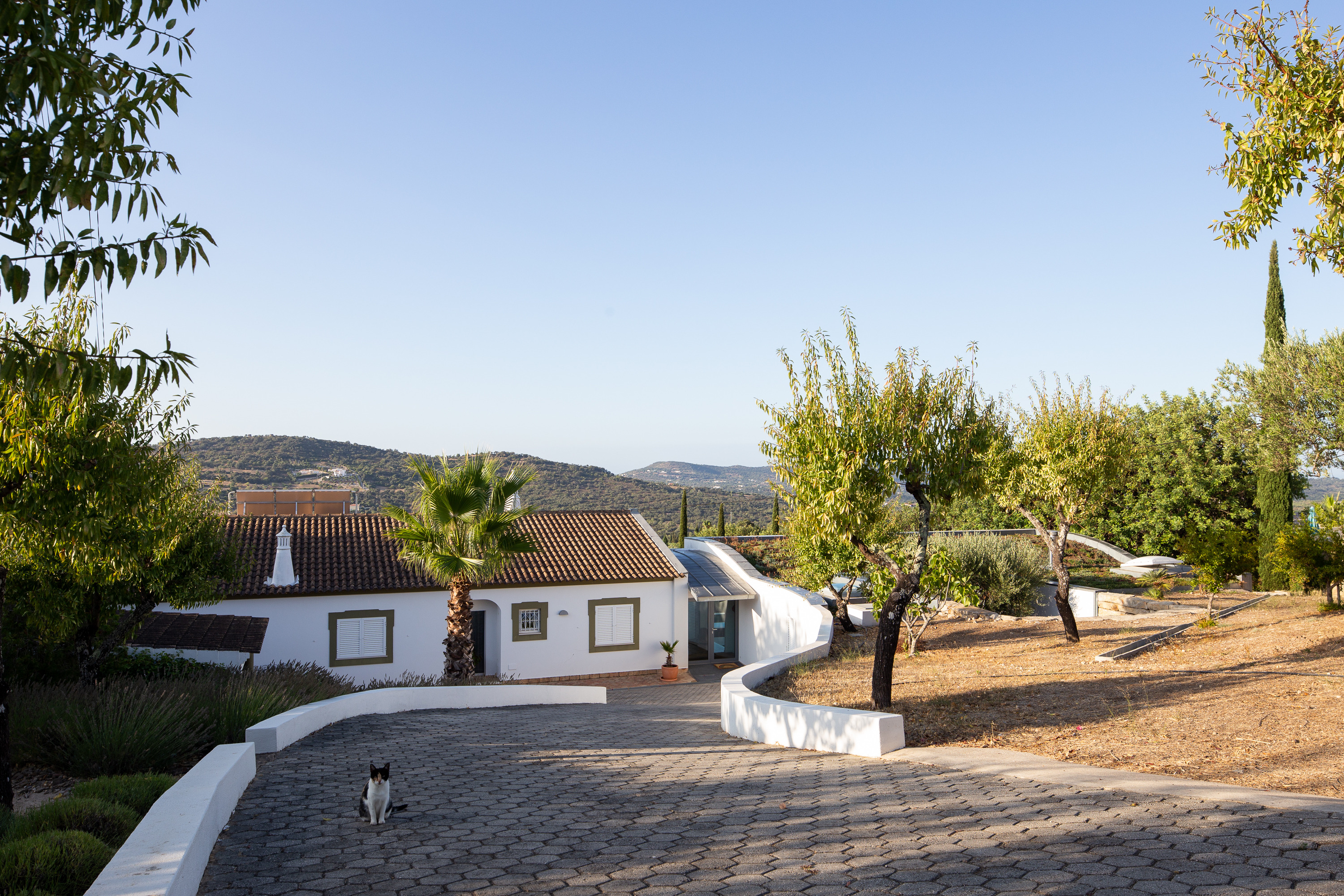 葡萄牙“第三世界开发者”的绿色环保地下别墅-5