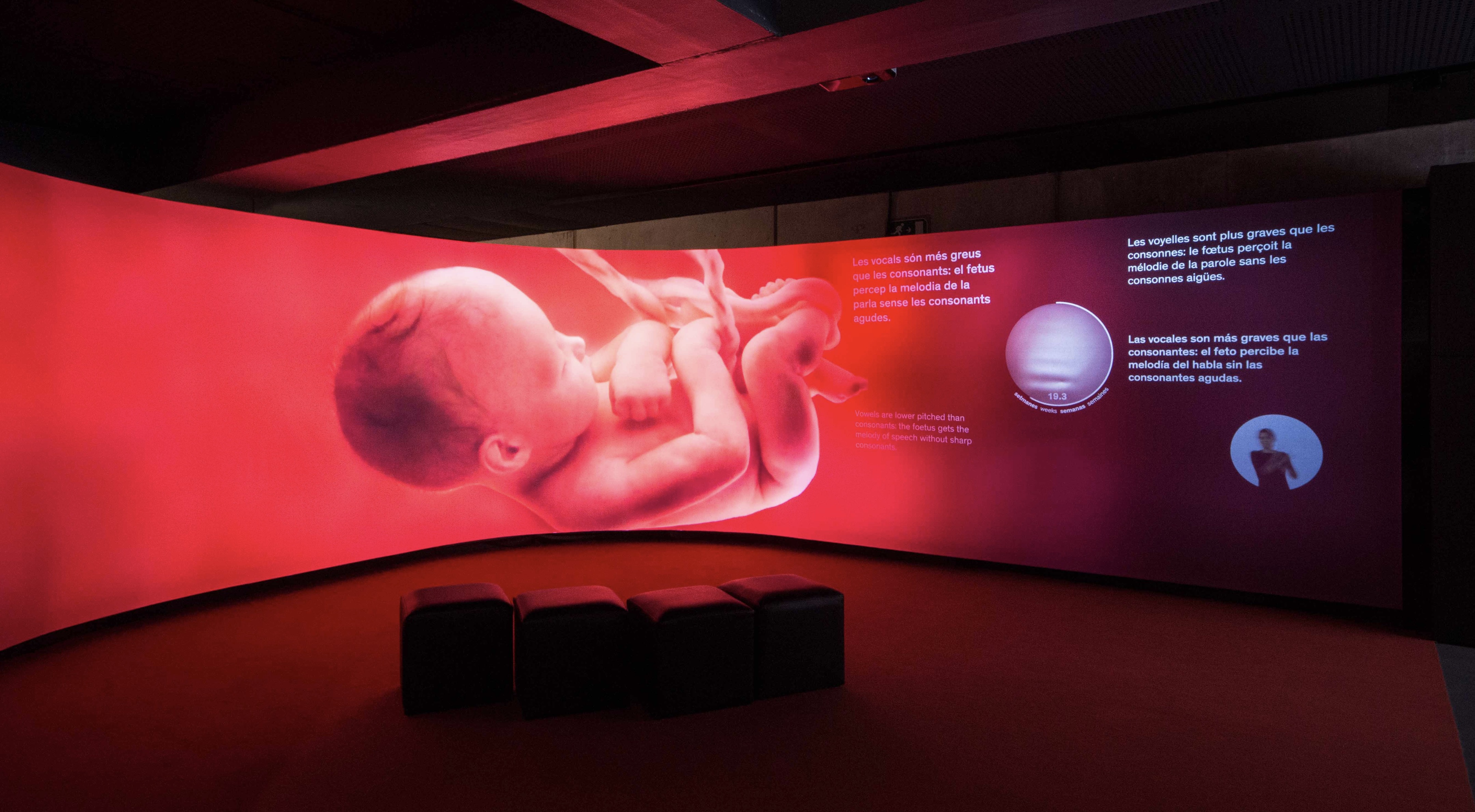 Talking Brains 展览设计-48