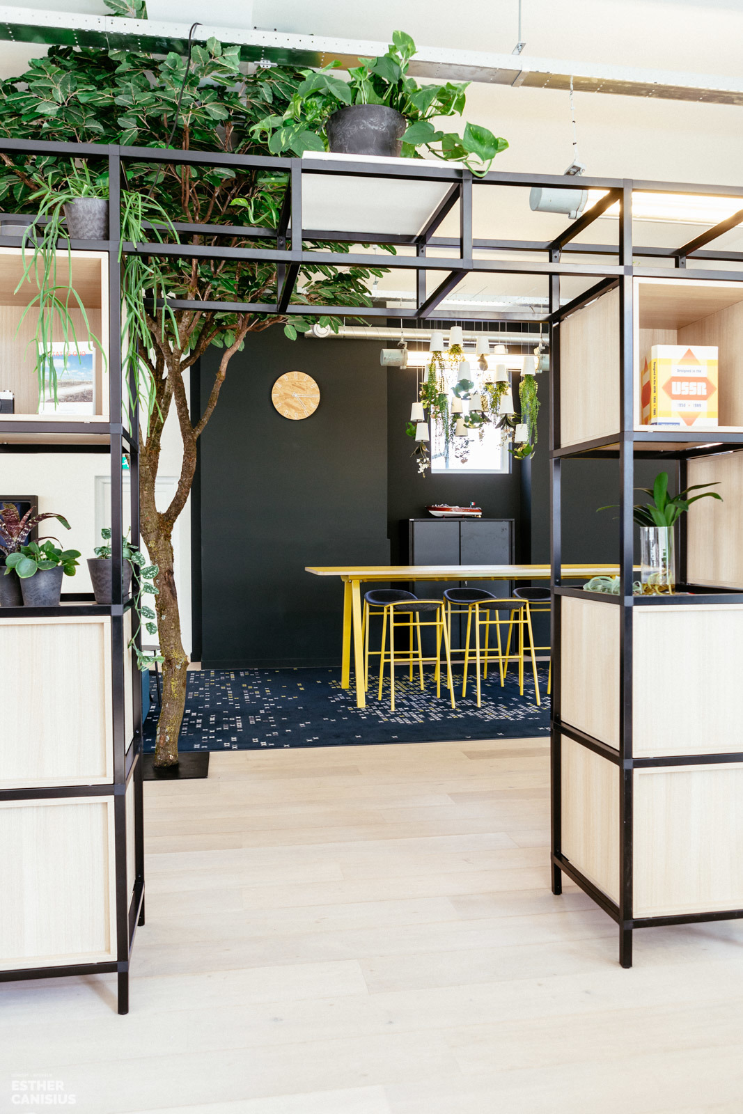 荷兰 Imkey 办公室 | 古典建筑中的现代绿意空间-7