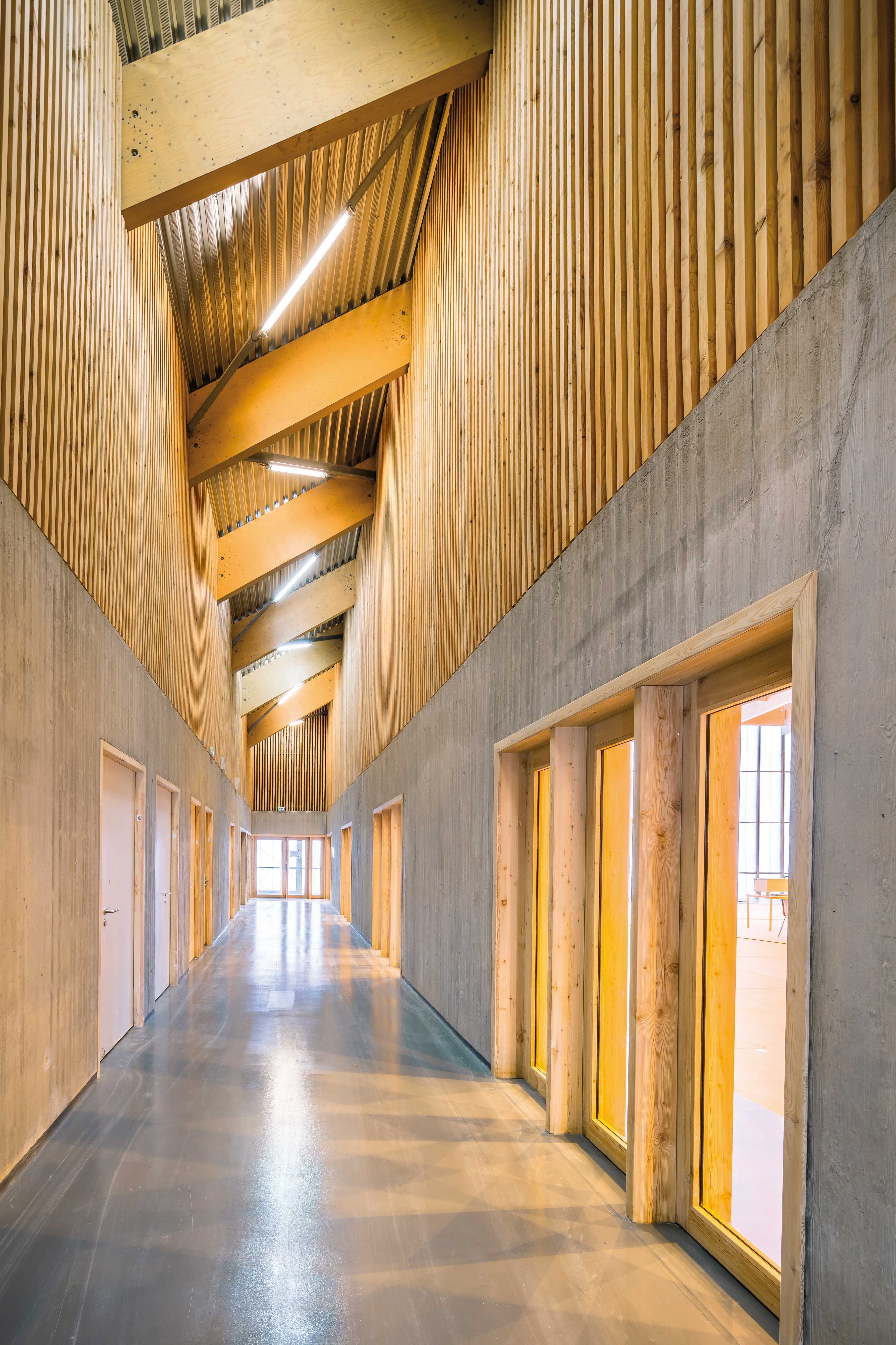 克拉玛特学校群 · 城市景观与教育的和谐融合-38