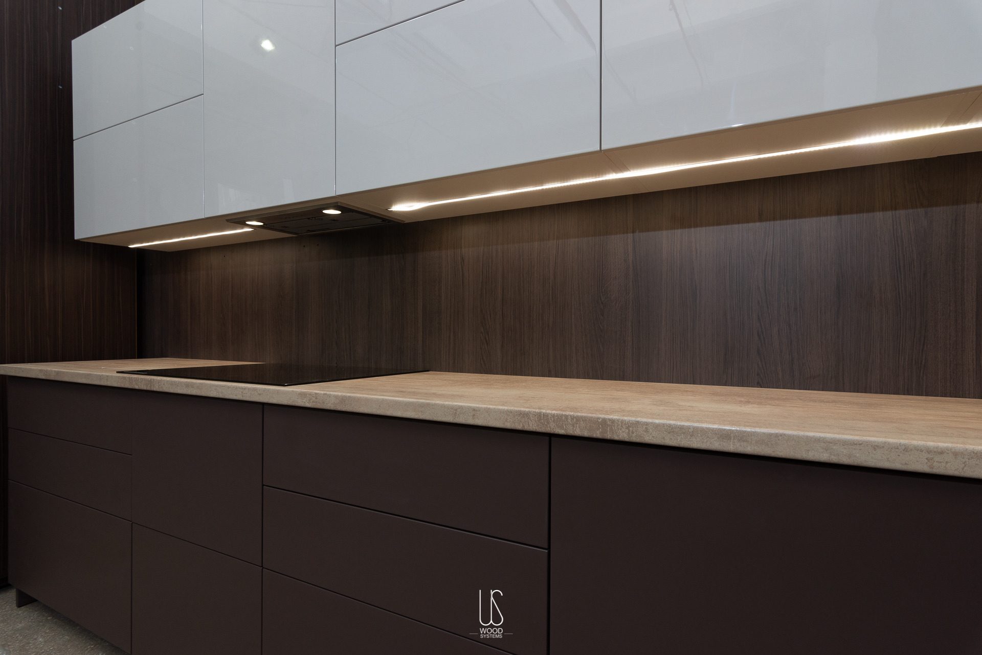 乌克兰基辅生活厨房（Kitchen "Shenghuo" by WOODSystems,Kyiv,Ukraine）-9