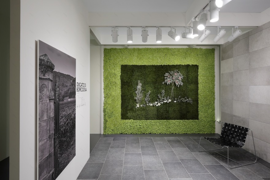 绿色栖息地 · 挑战室内绿化的极限-17