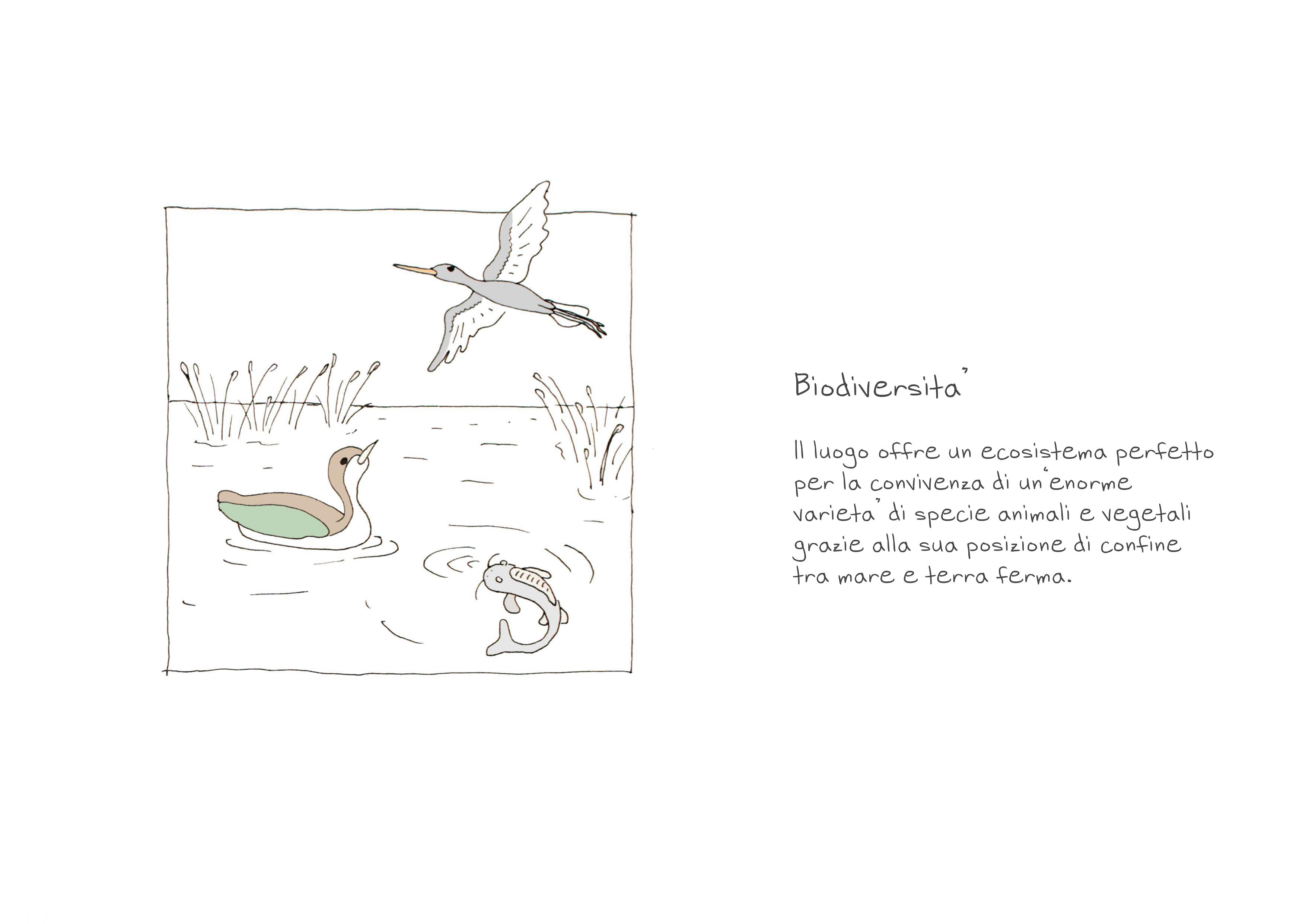 威尼斯慢生活体验 · 环保可持续的 360 度用户体验设计-5