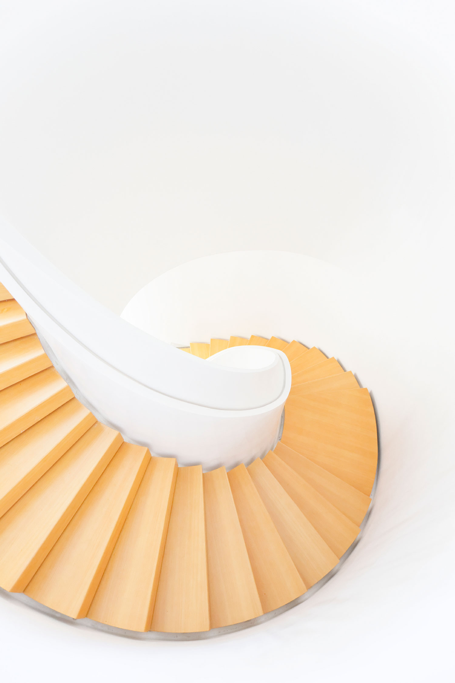 明星芭蕾基金会北京——光与力量的艺术交融-7