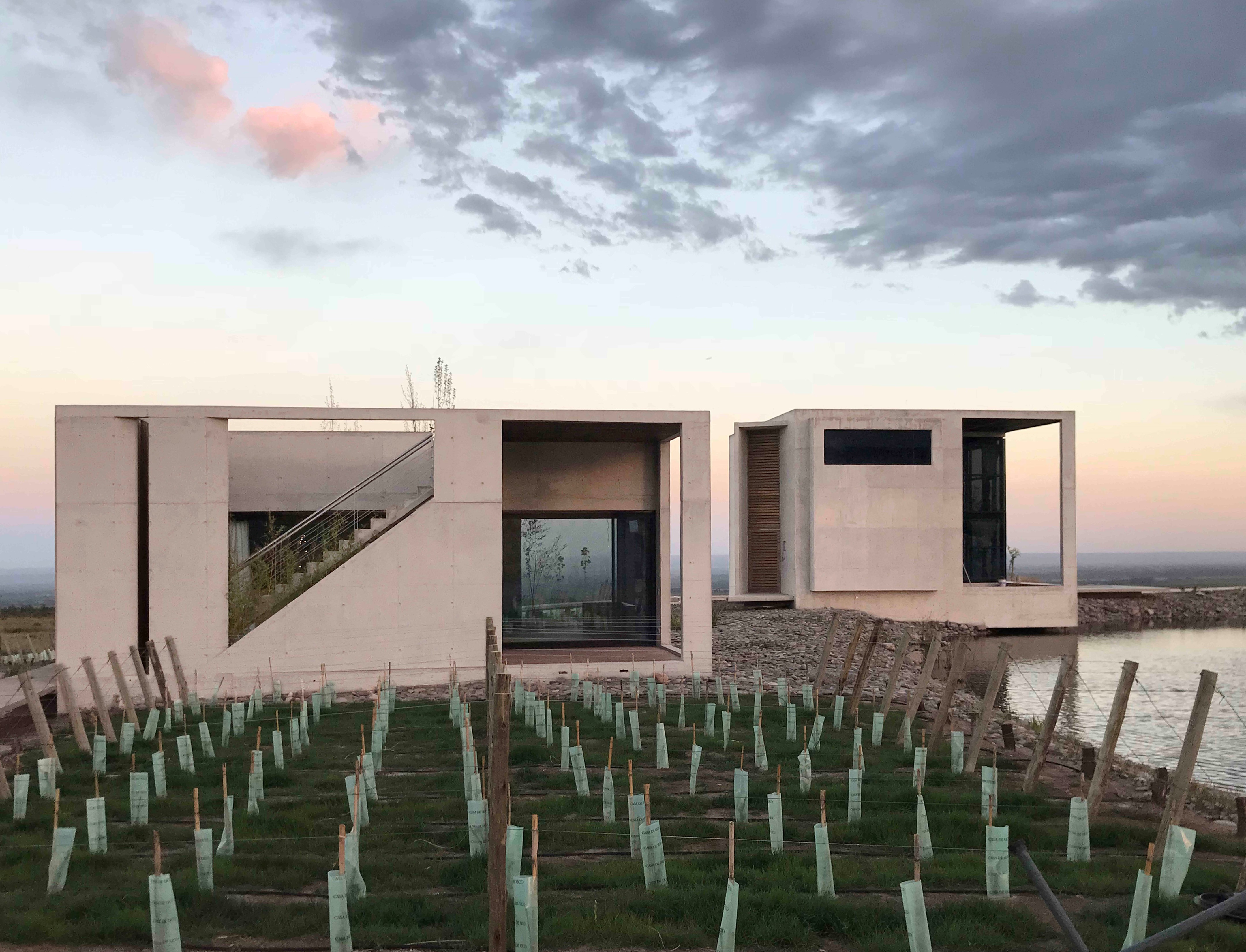 高山葡萄园里的绿色环保别墅-18