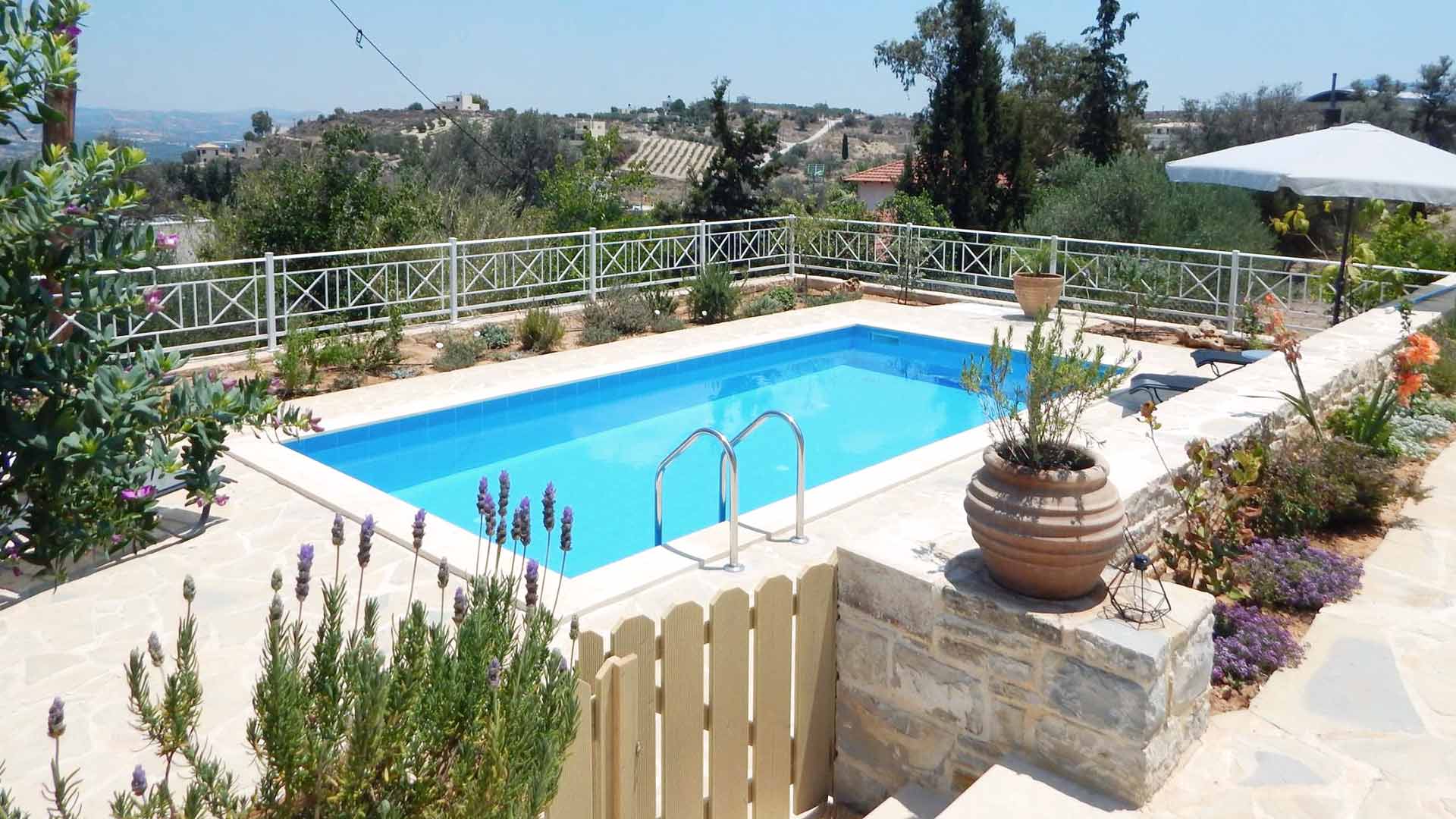 众议院 anthemis-17