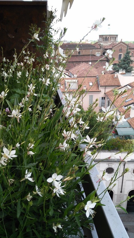 绿色视野的露台生活-3