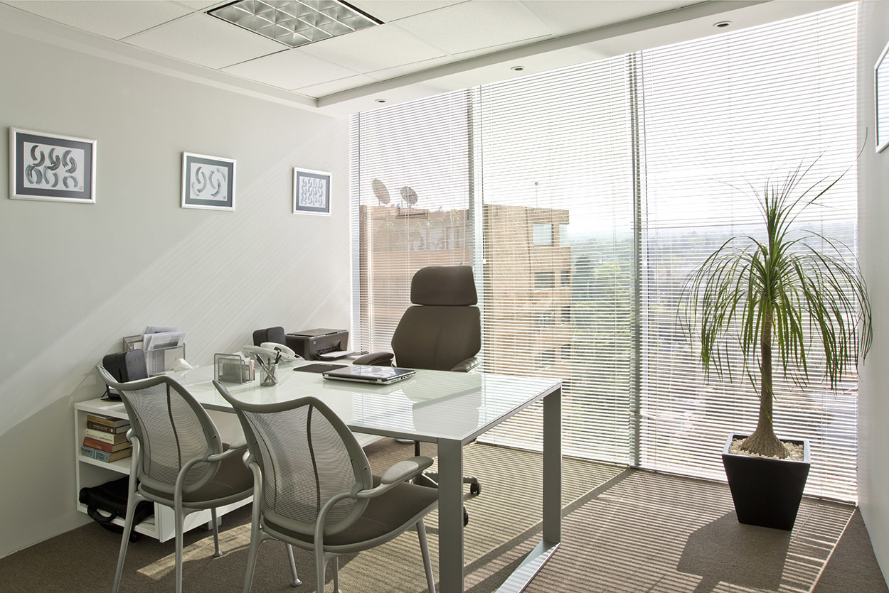 Alarde 办公室建筑设计-10