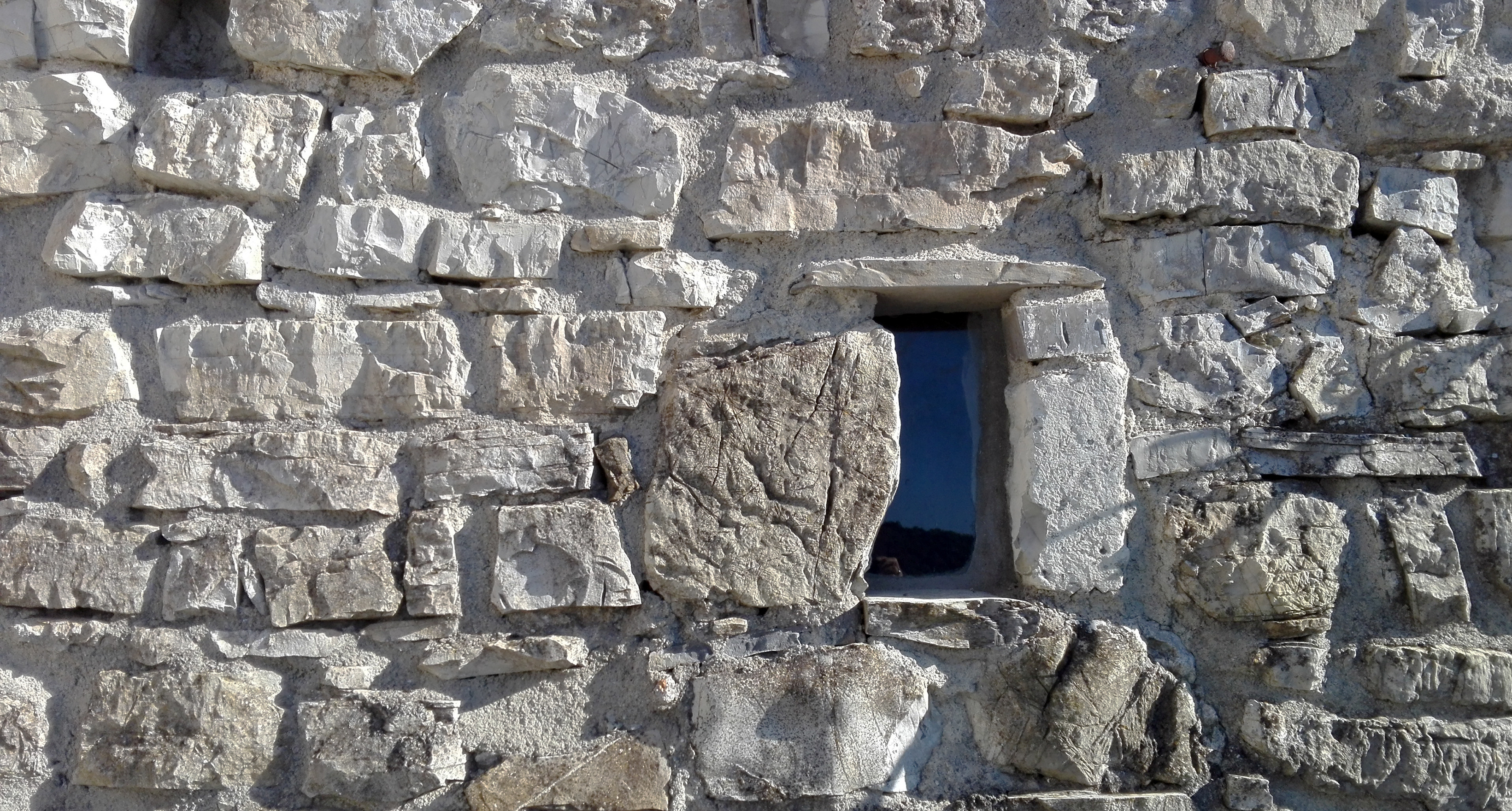 古堡之家的重生-9